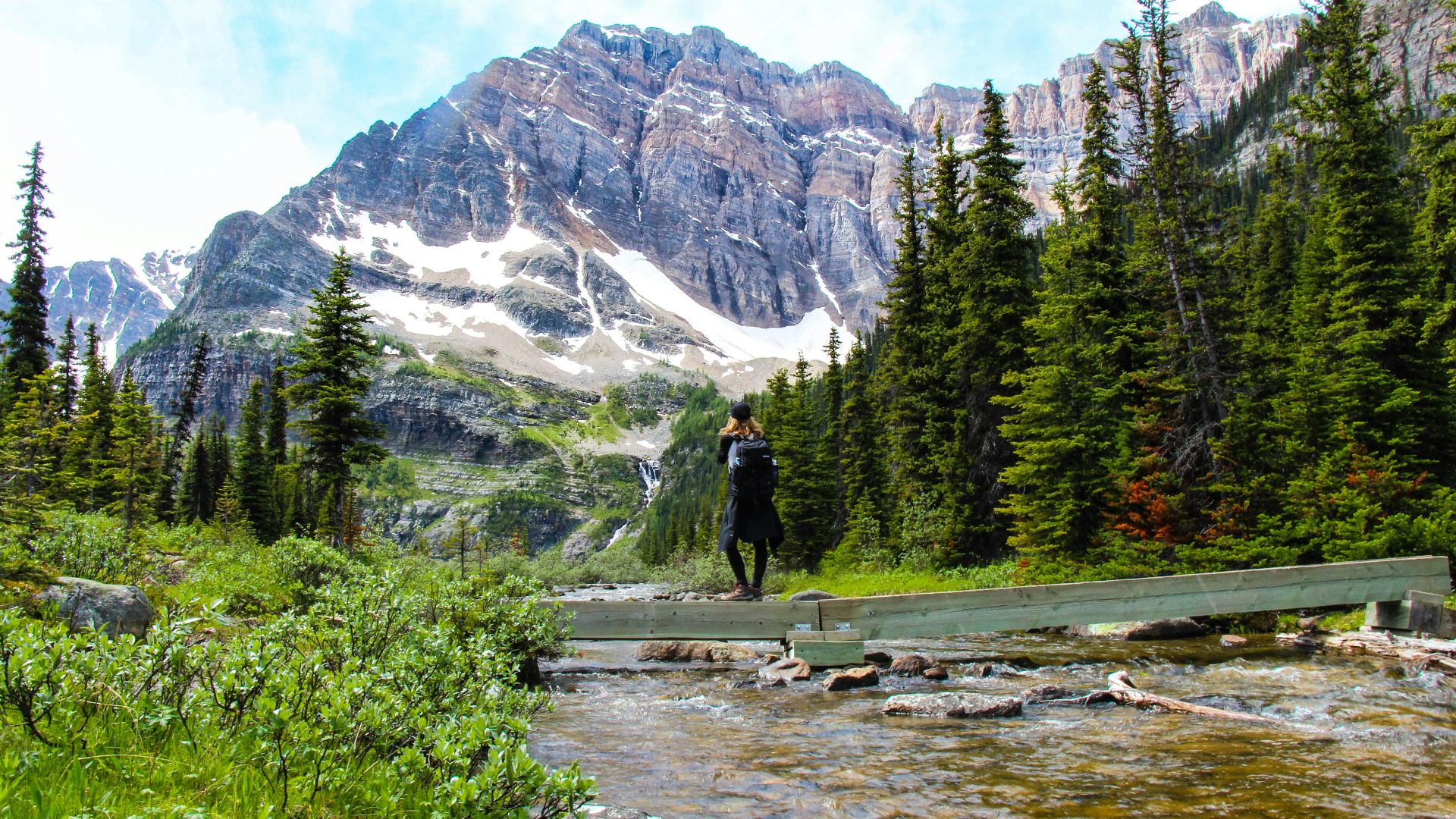 person standing near lake surrounded with tall and green trees