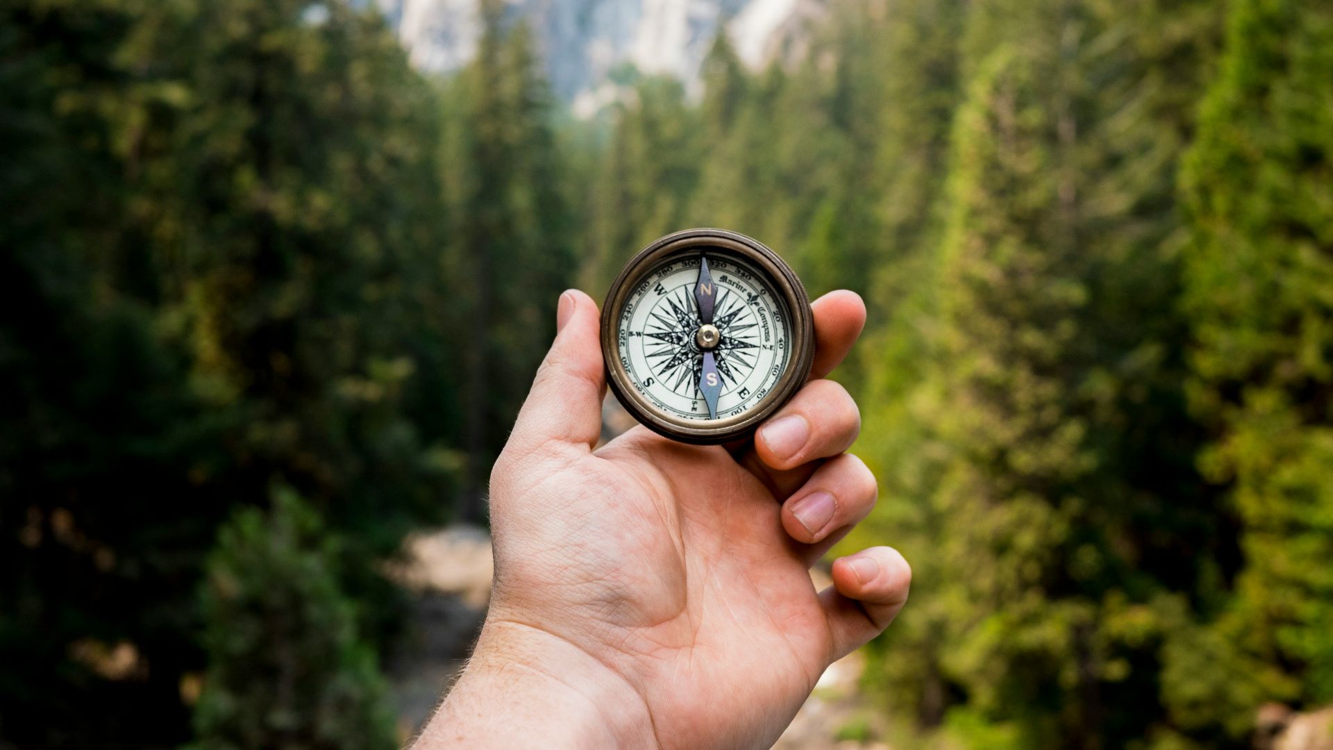 person holding compass facing towards green pine trees