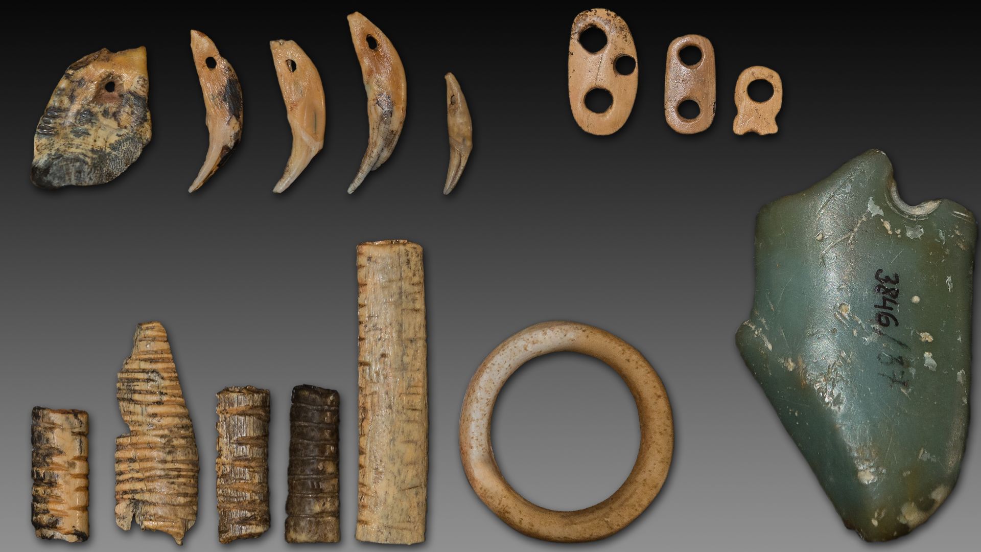 Ring, pendant, pearls and notched bone artifacts from Denisova Cave, exhibited in the special exhibition