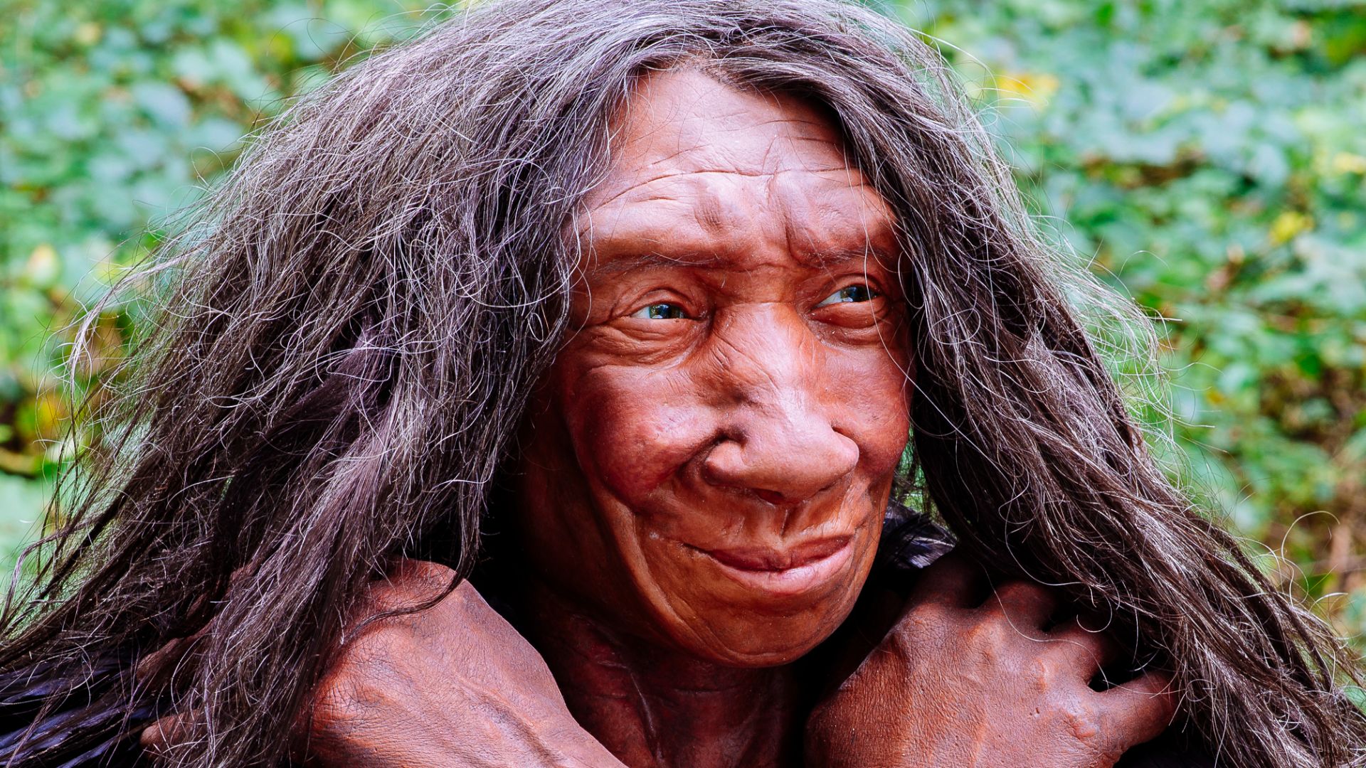 Lebend-Rekonstruktion im Neanderthal-Museum (Erkrath, Mettmann) eines Homo sapiens neanderthalensis (Ausschnitt des Originalfotos), Fundort Gibraltar