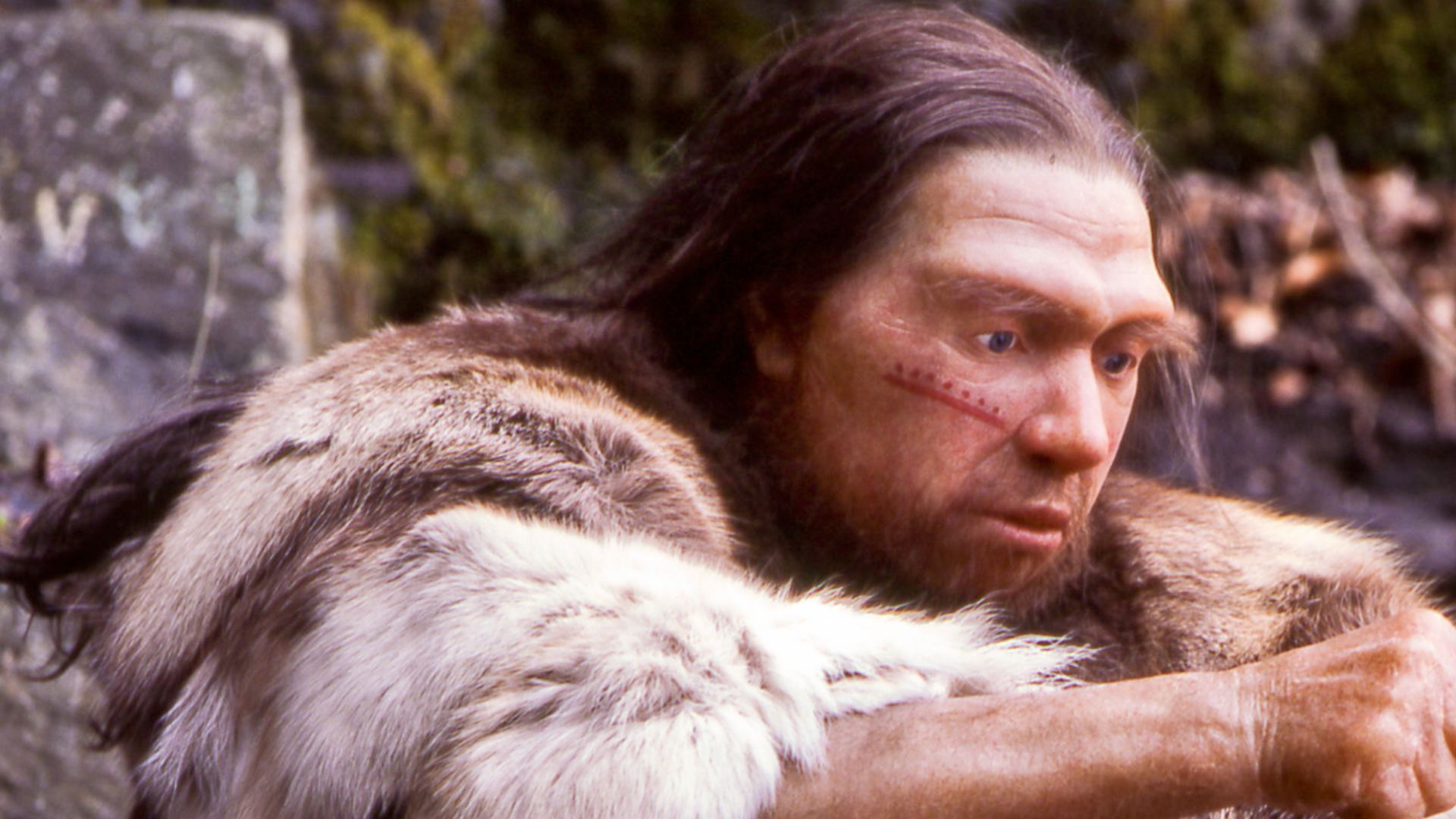 Lebend-Rekonstruktion im Neanderthal-Museum (Erkrath, Mettmann) eines Homo sapiens neanderthalensis-Jägers