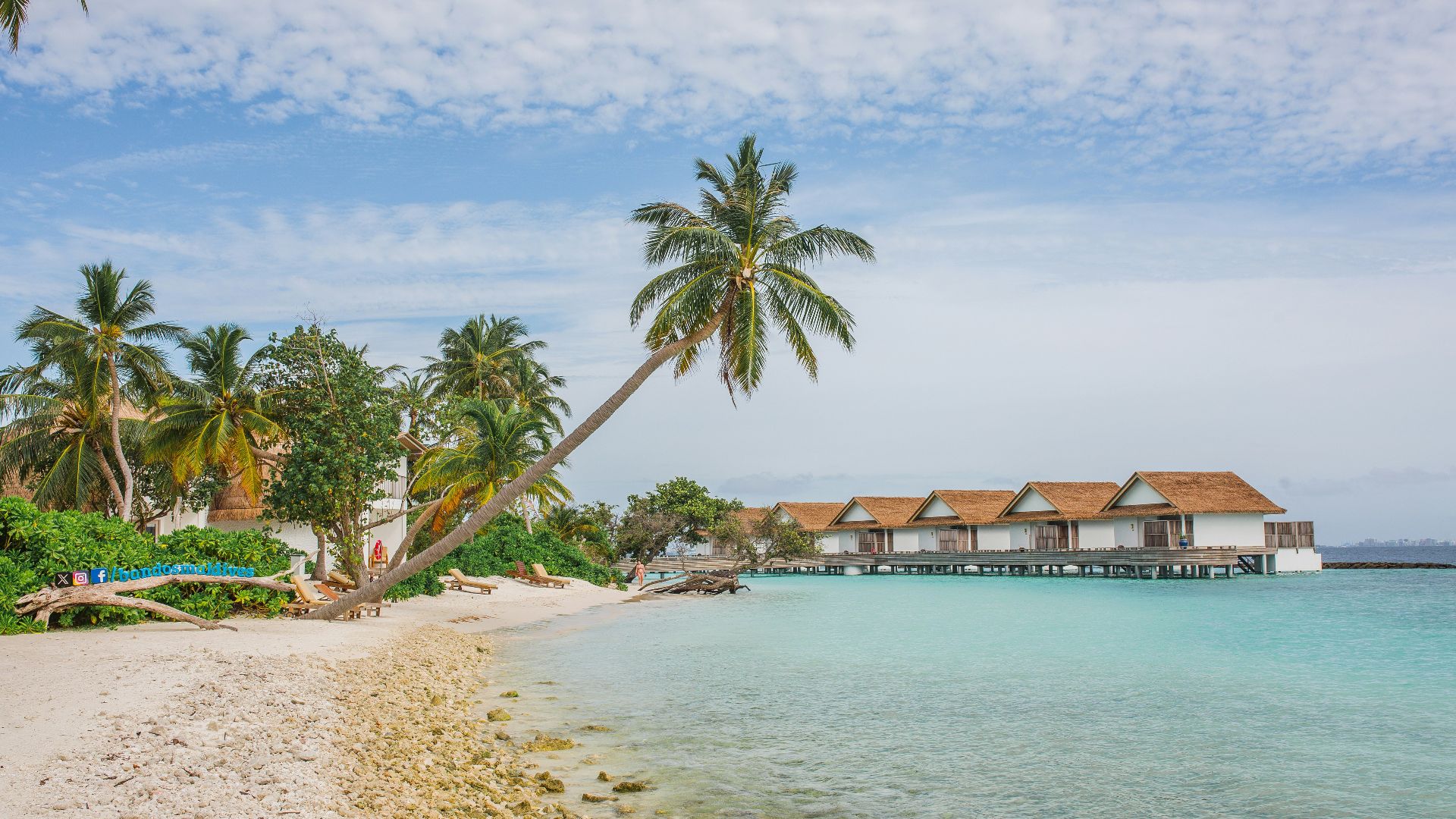 A sandy beach with palm trees and houses in the background