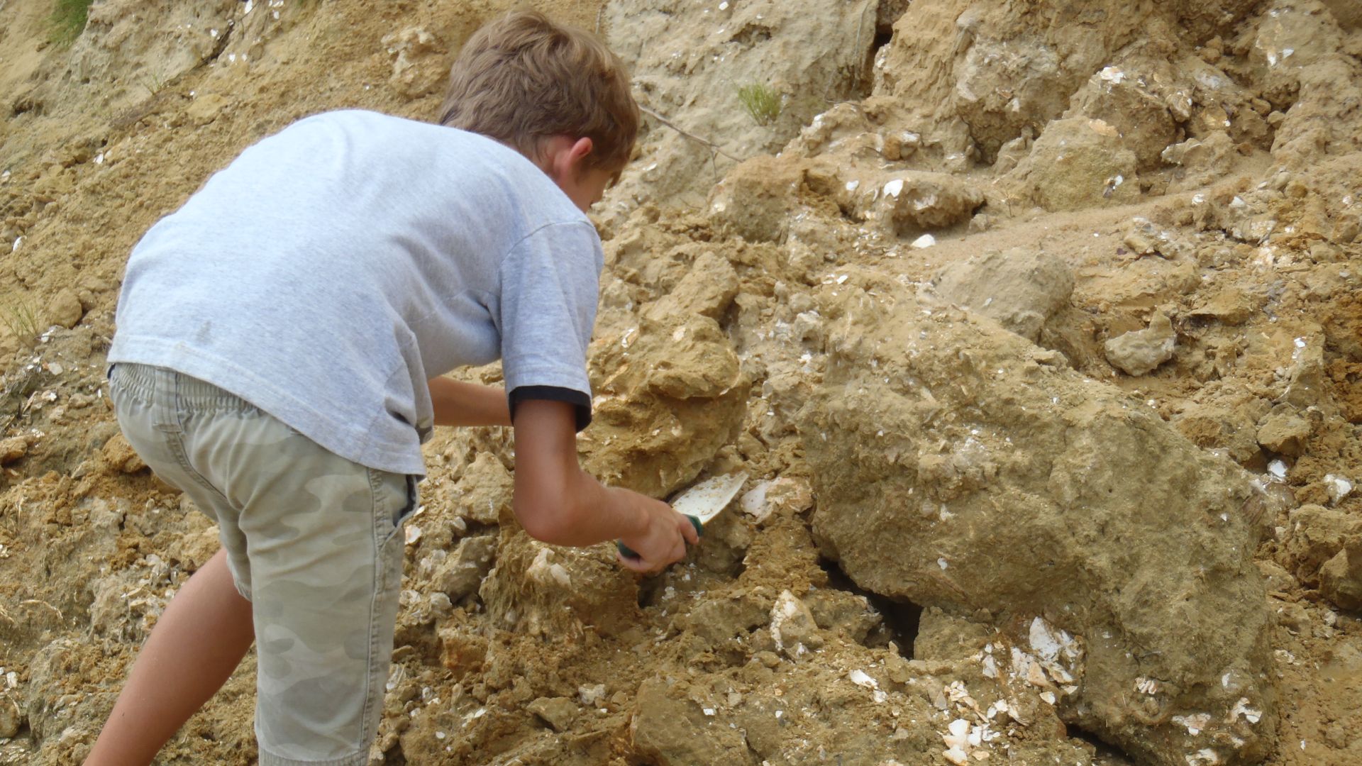 Digging for a fossil