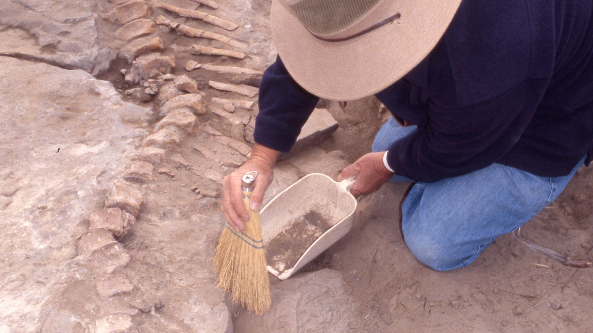 A paleontologists works carefully to remove sediment from the fossils.