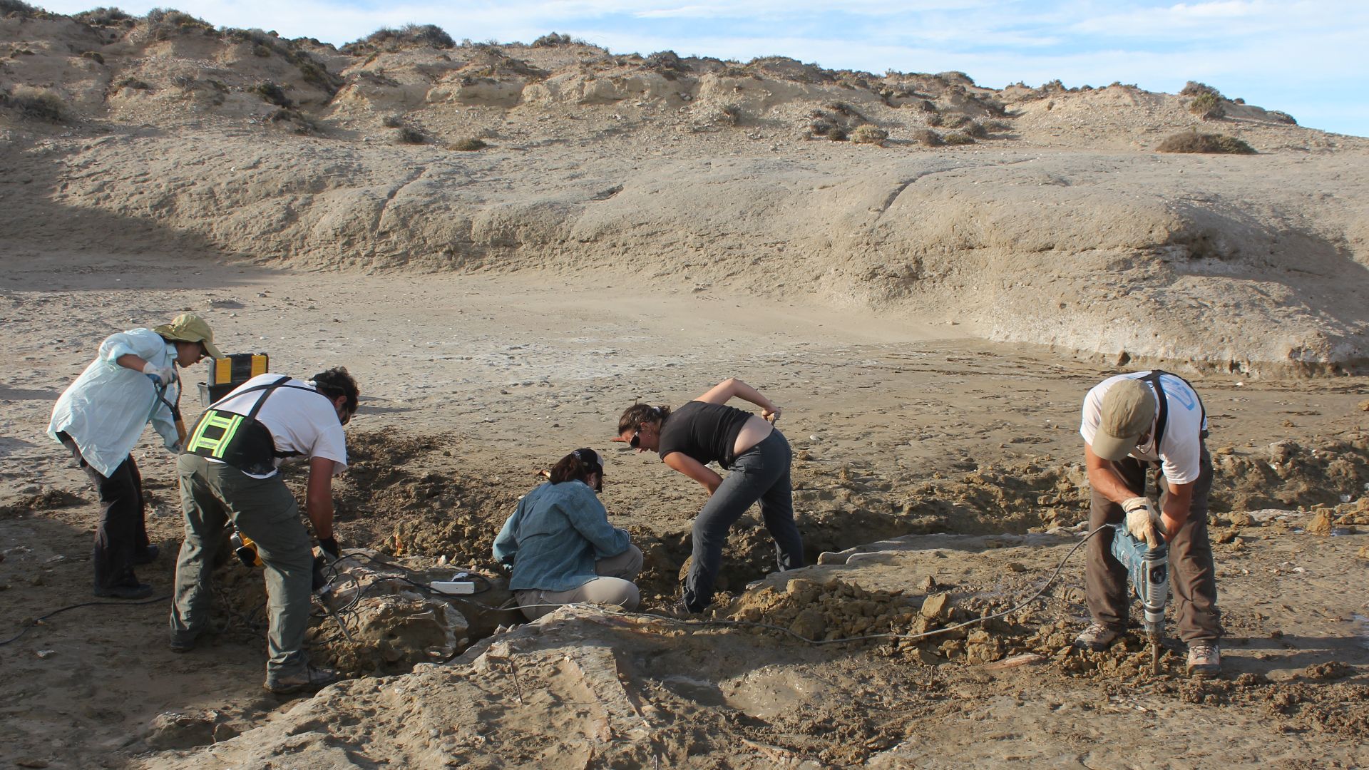 Paleontological fieldwork