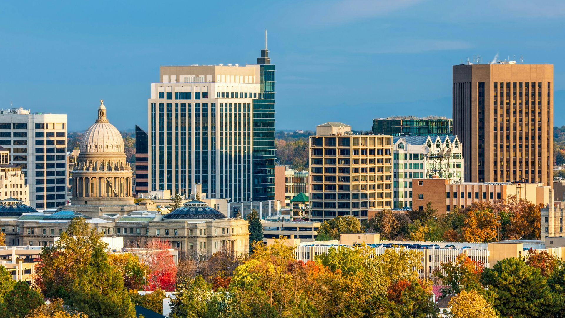 A view of a city with a lot of tall buildings