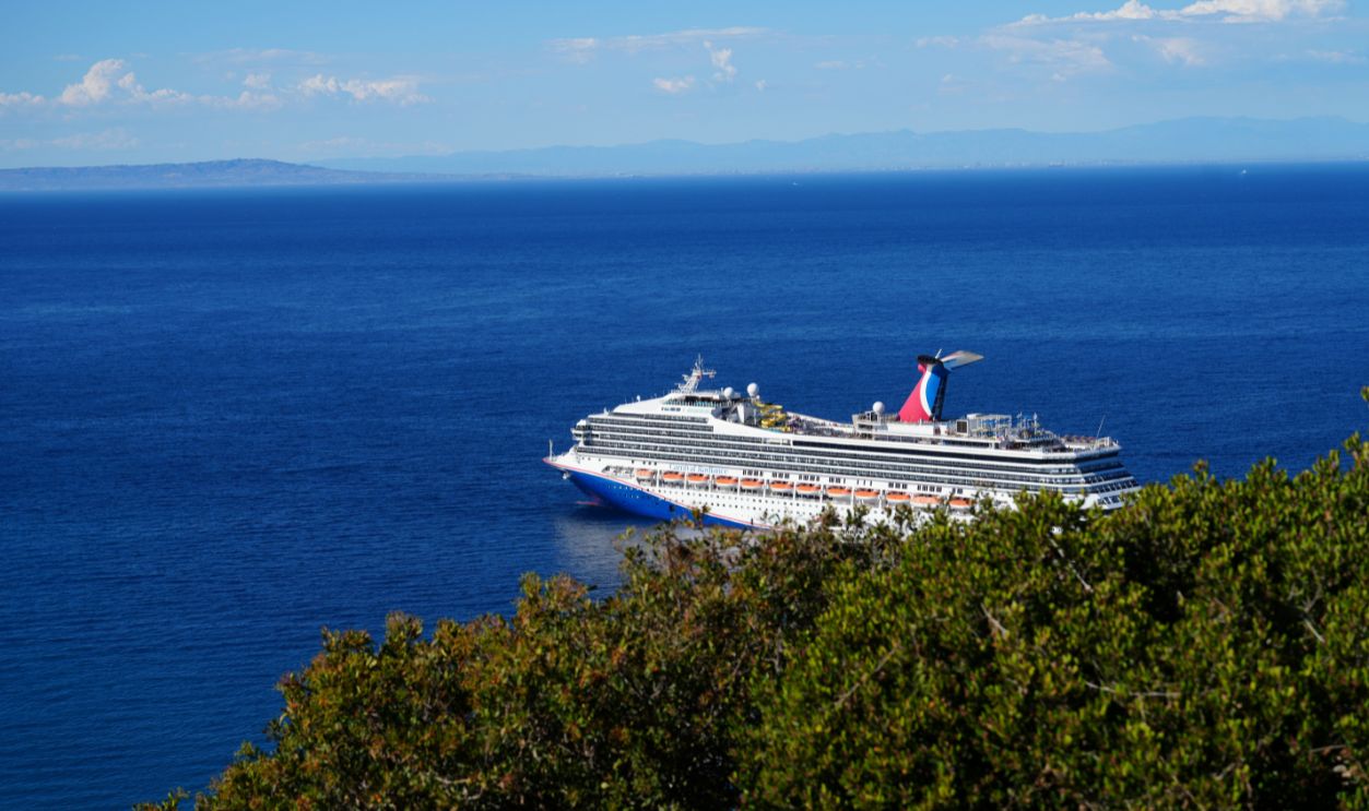 A luxury cruise ship sails through a deep blue ocean under a clear sky, viewed from a coastal hillside