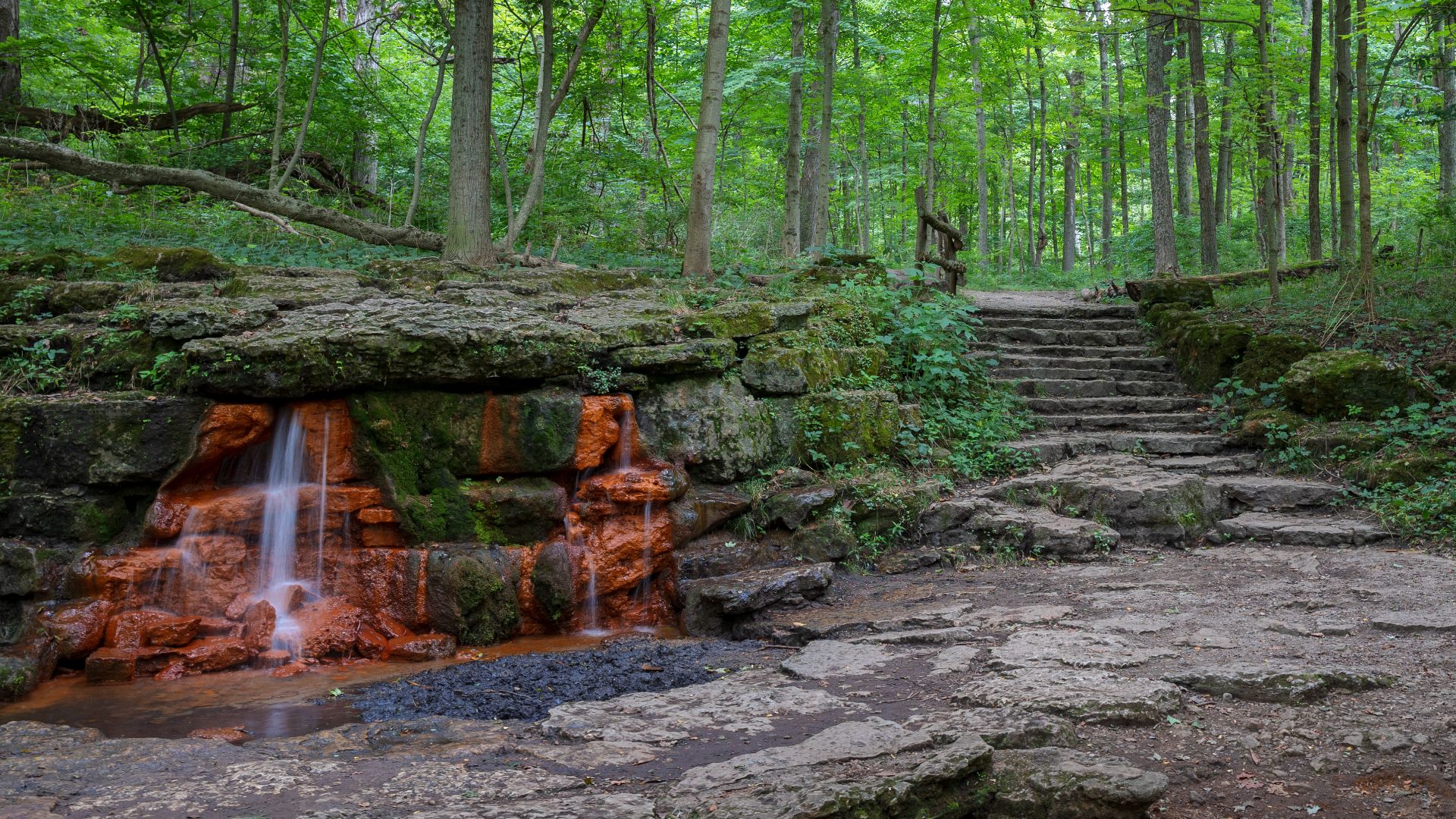 Photo taken at Glen Helen Nature Preserve in Yellow Springs, Ohio.