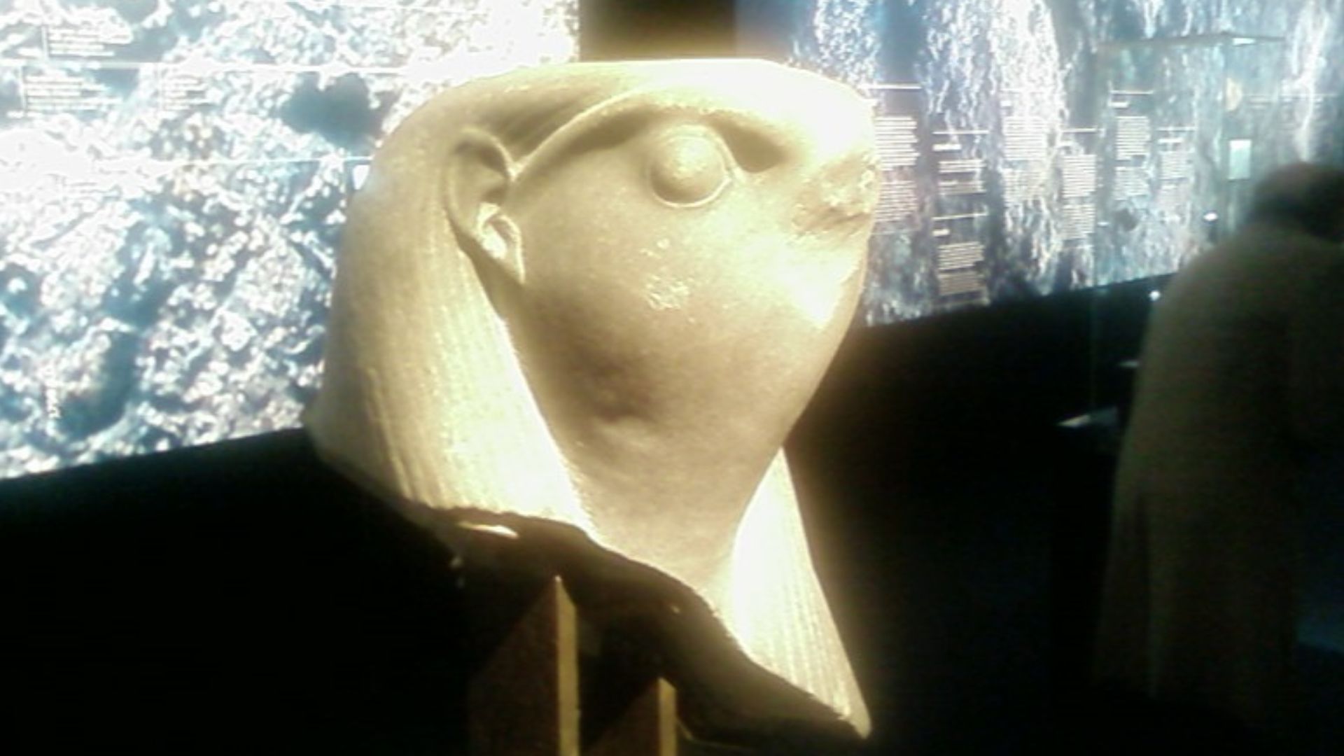 Tête hiéracocéphale d'un sphinx, Basse Époque - Exposition Trésors engloutis d'Égypte, Grand Palais, Paris, 2006.