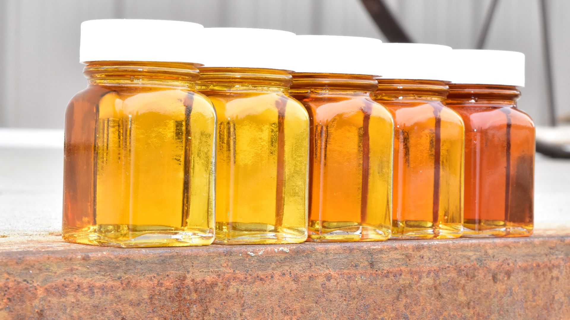 Color difference for varying grades of pure maple syrup.