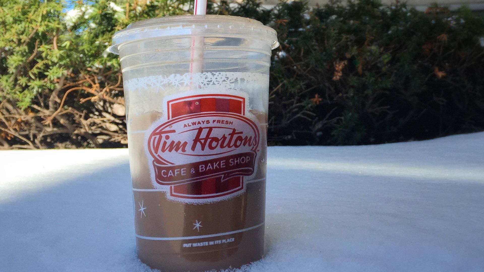 Fredonia Runs on Tim's