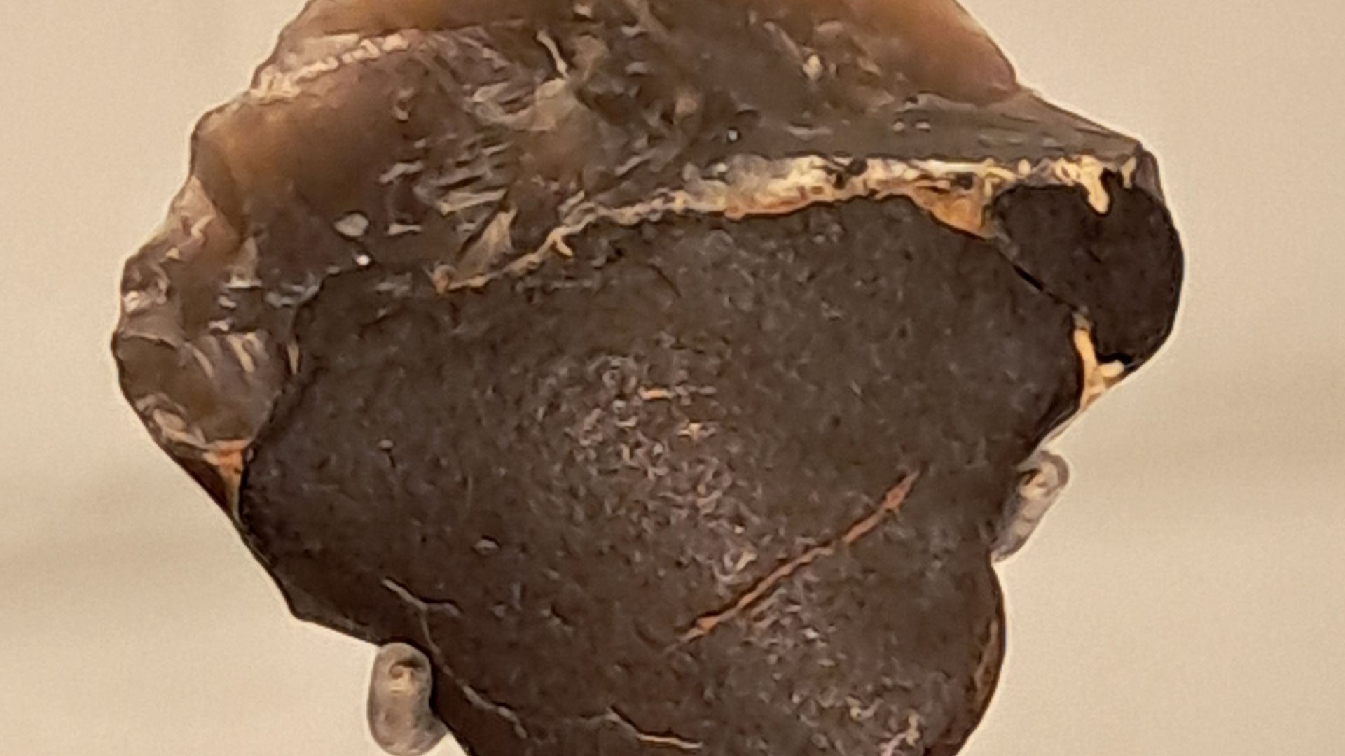 Werktuig met Berkenpek. In 2016 vond amateurarcheologe Willy van Wingerden op de zandmotor bij Kijkduin dit stukje vuursteen, deels bedekt door berkenpek, dat op grond van C14-datering 50.000 jaar oud bleek te zijn.[1] Het stamde dus uit de laatste ijstij