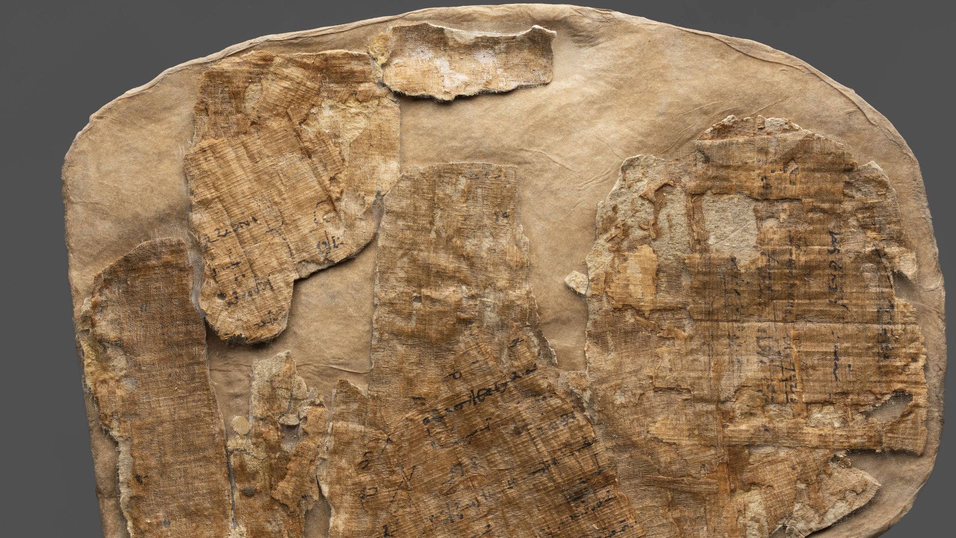 File:Fragments of a mummy covering in which Greek papyri are reused, cartonnage - Museo Egizio, Turin P 3573 p01.jpg