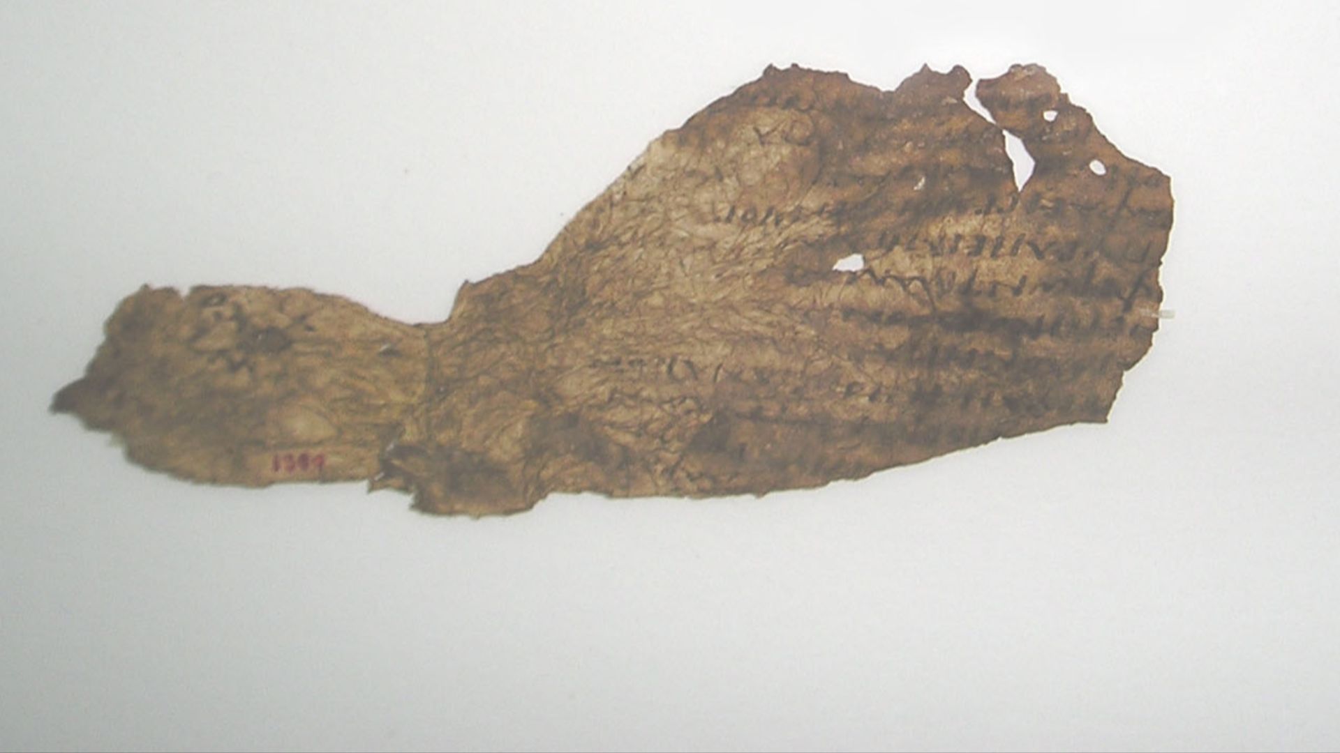 Papyrus Oxyrhynchus 1389
Bridwell Papyrus 5
Homer, Iliad 182–194.218–230

verso