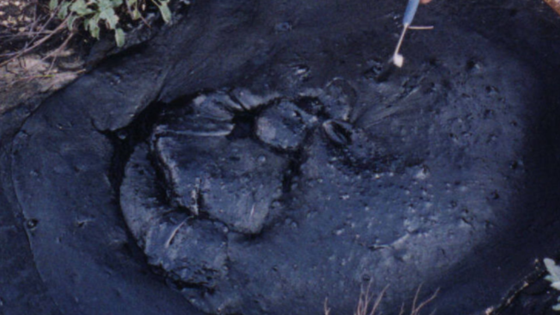 This is one of the better looking natural tar seeps at the McKittrick Oil Field, in California.
Sometimes the surface is hard, but in hot weather, it is soft. People like to light the gas bubbles that come out of the seep.
The seeps are visible on Goog