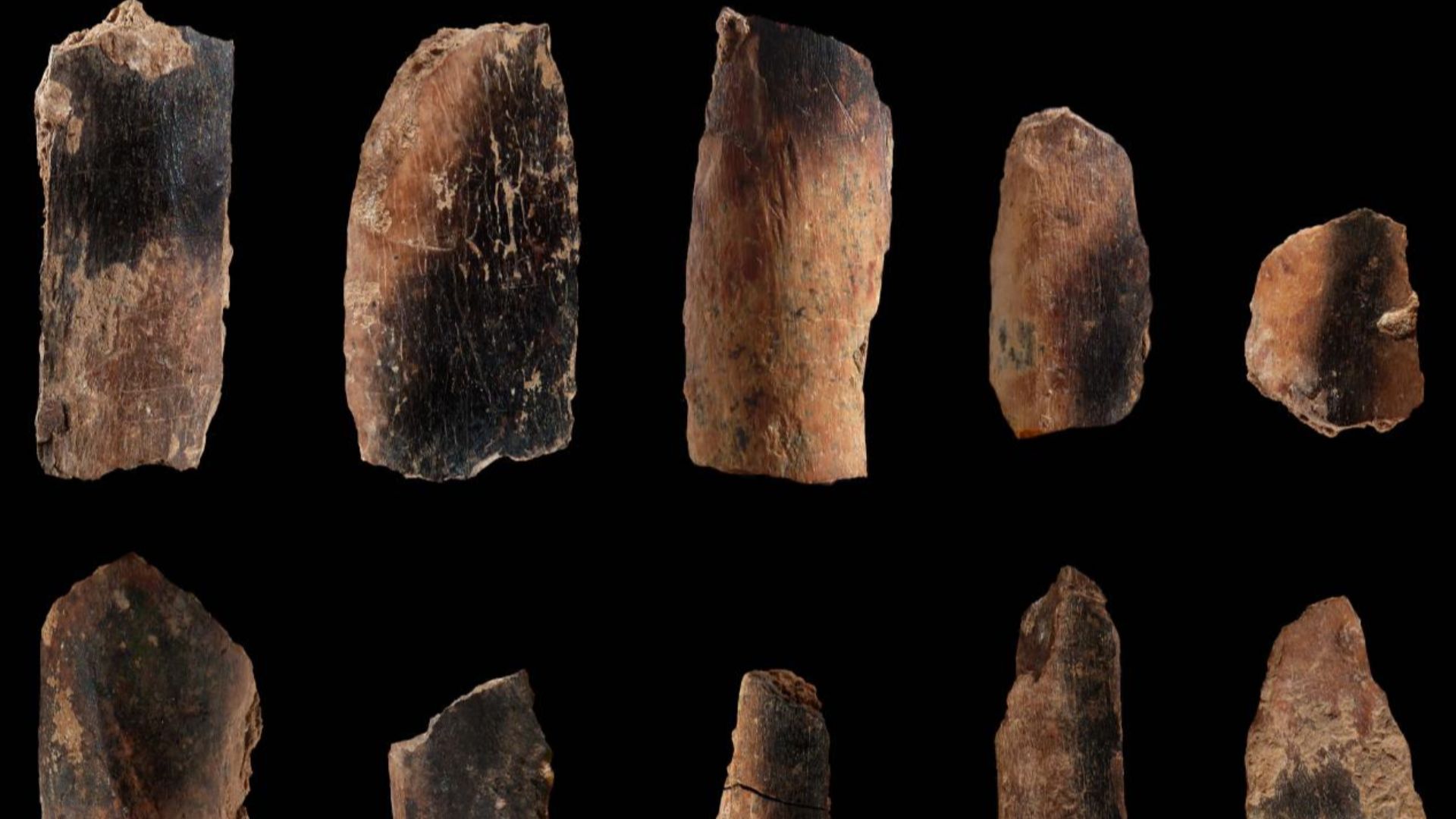 Burned animal bones from Qesem Cave, Israel