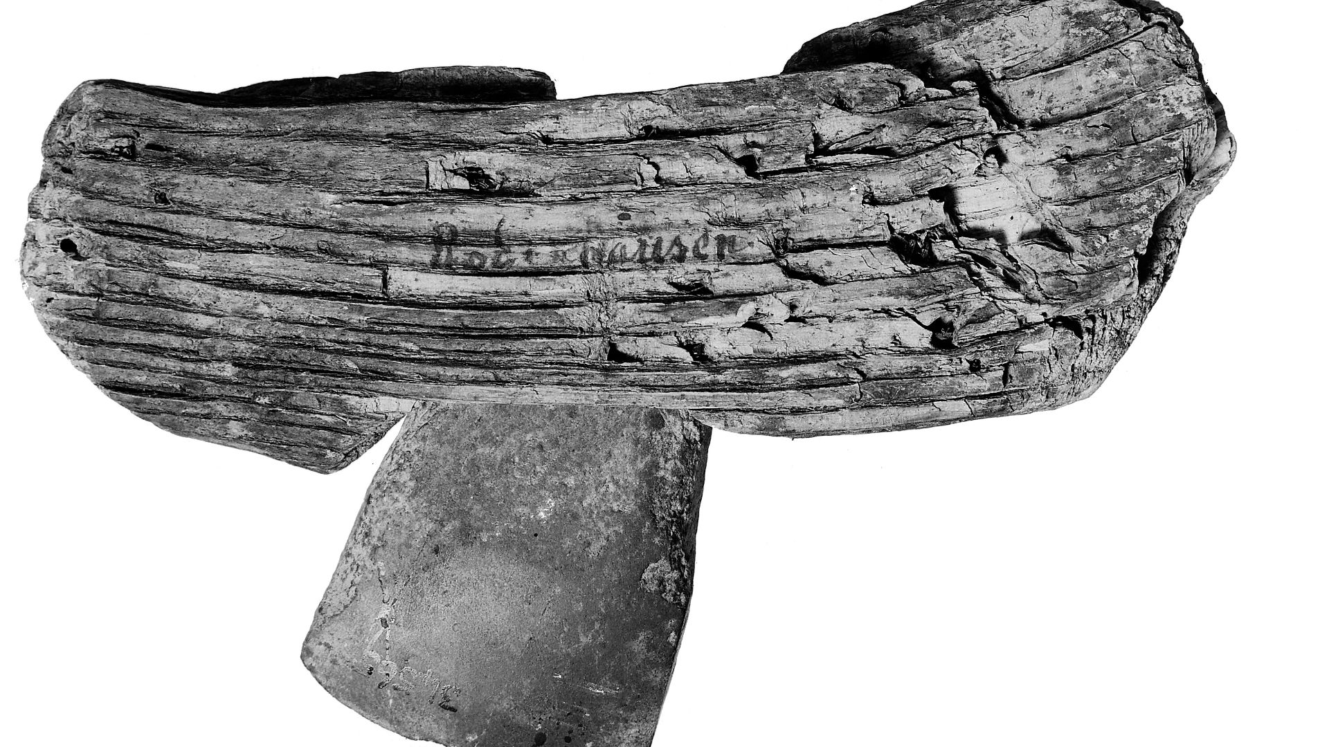 Hafted stone axe from Robenhausen lake-dwelling
Wellcome Images
Keywords: prehistory archaeology; neolithic; typology