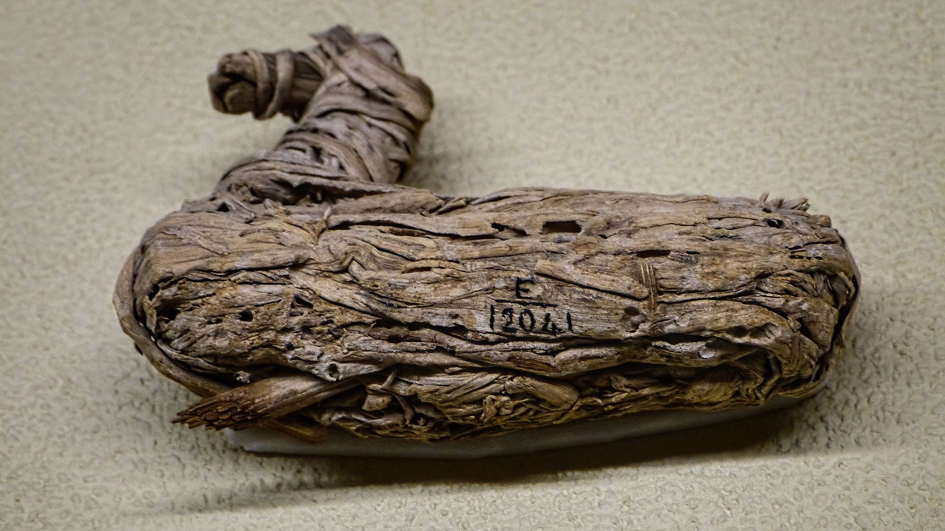 Papyrus Toy Duck Roman Period Egypt Oxyrhynchus Penn Museum