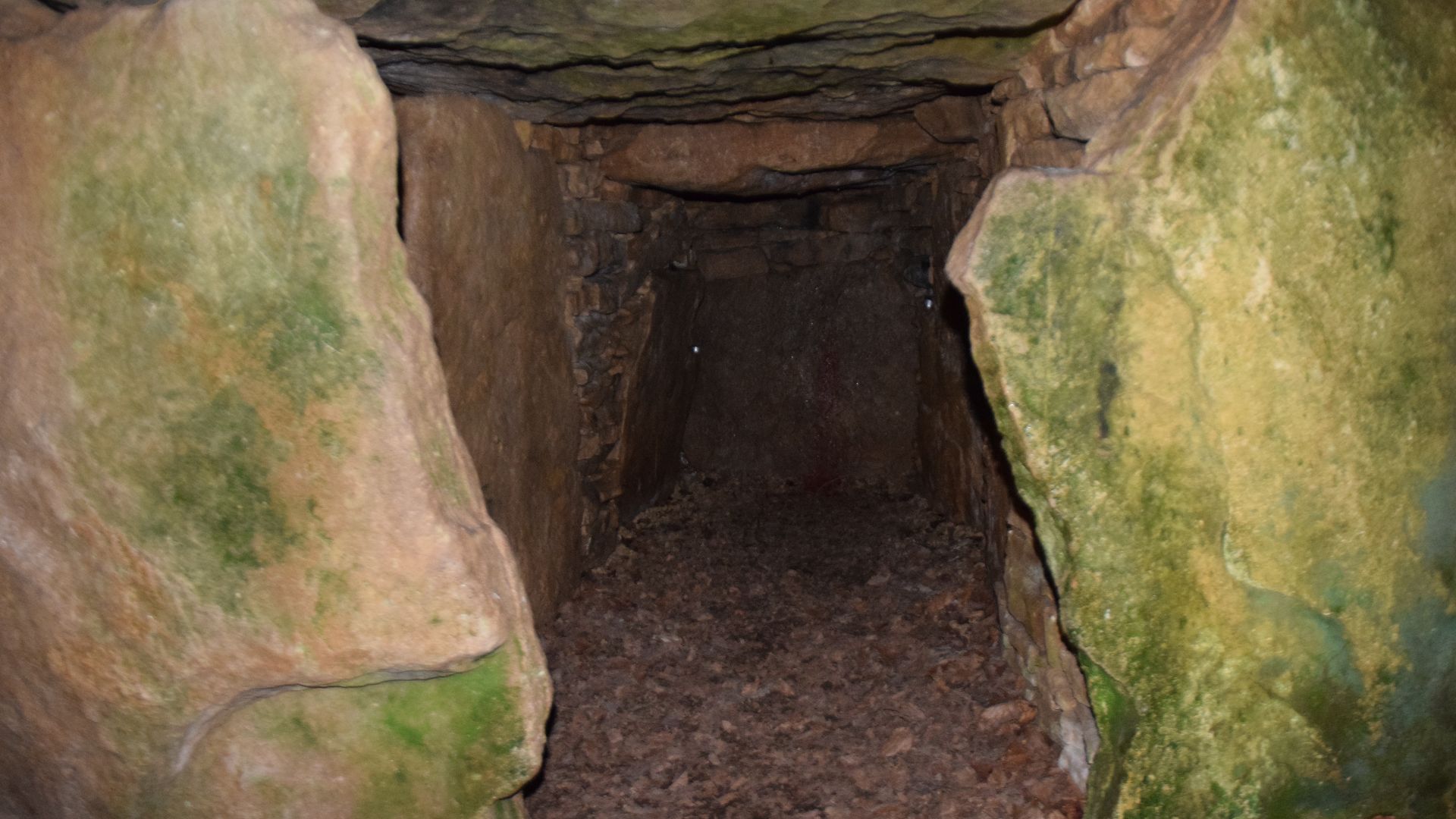 The galleried burial chambers of the Uley Long Barrow, Gloucestershire, 19 June 2018. Built around 3,000BC (i.e. Neolithic) or possibly earlier and is more accurately a galleried grave than a long barrow. 15 bodies were found buried in it plus another Rom
