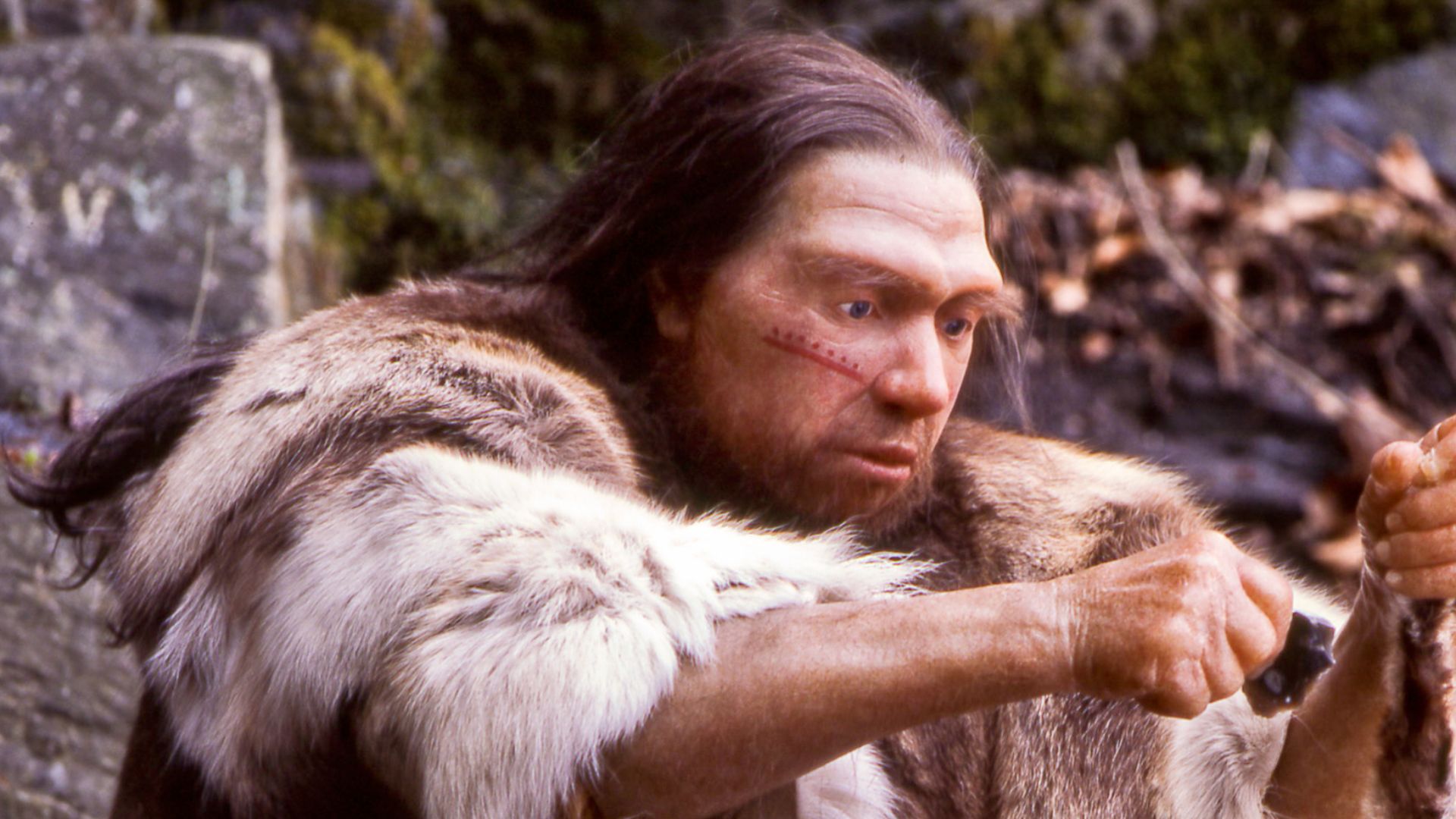 Lebend-Rekonstruktion im Neanderthal-Museum (Erkrath, Mettmann) eines Homo sapiens neanderthalensis-Jägers