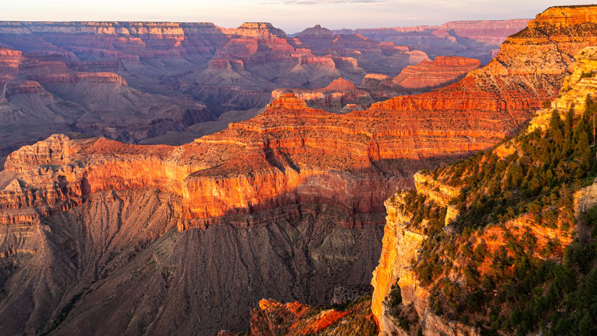 View from the South Rim of the Grand Canyon, Arizona, USAGrand Canyon National Park in the US state of Arizona was declared a national park in 1919 and is one of the most famous protected areas in the USA. As early as 1908, President Theodore Roosevelt ha