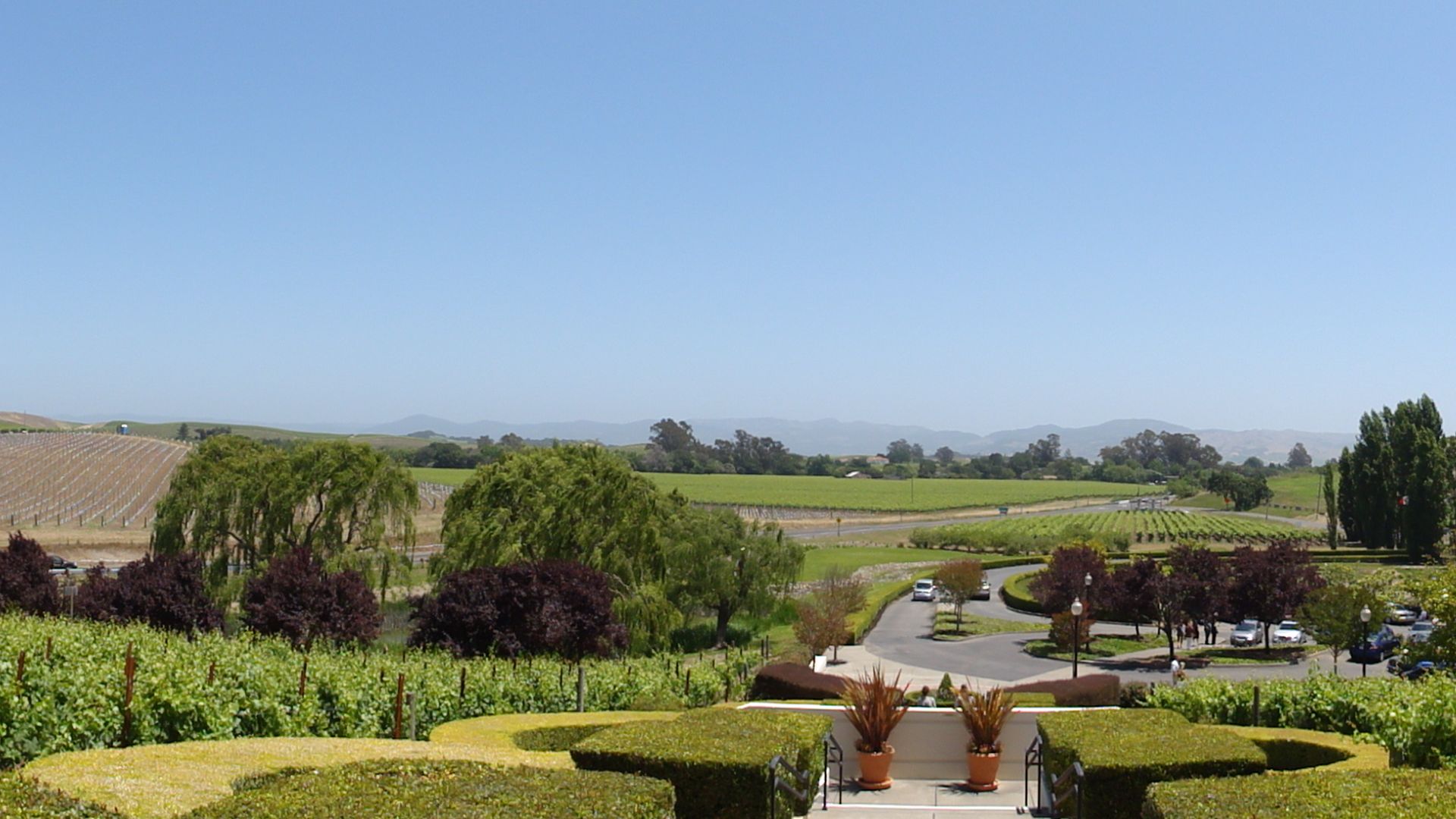 Panoramic view of the valley from Domaine Carneros, Napa, California