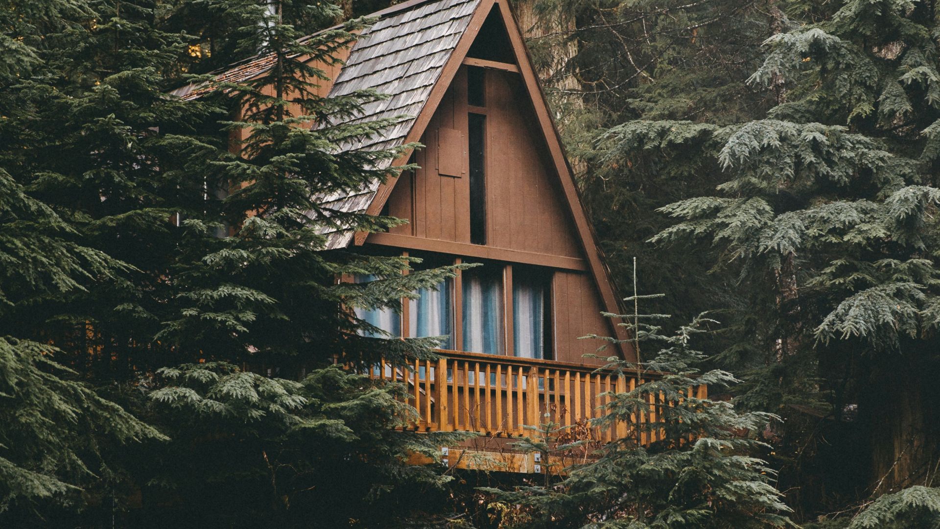 brown and grey wooden cabin surrounded by trees