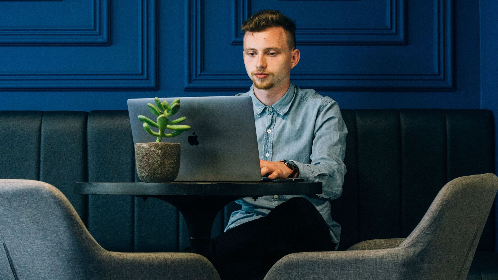 A man sitting and working on a laptop in a stylish blue-themed room with modern furniture.