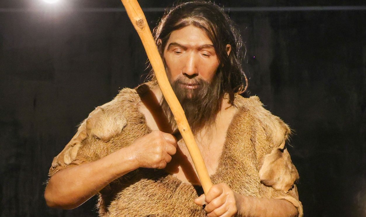 Getty Images - 2271173511 - The figure of a Neanderthal stands in the exhibition  Survival in the Ice Age.