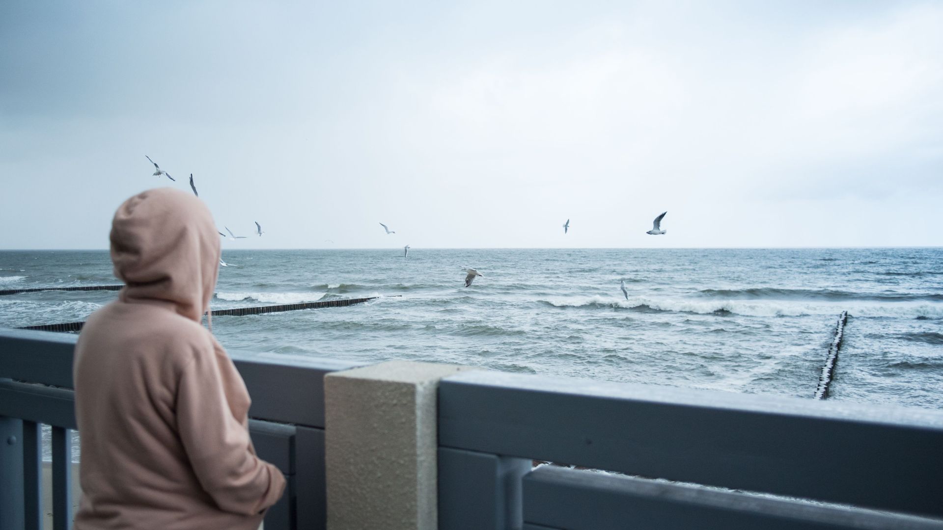 A person in a hoodie gazes out at the birds and waves from a pier in Svetlogorsk, Russia.