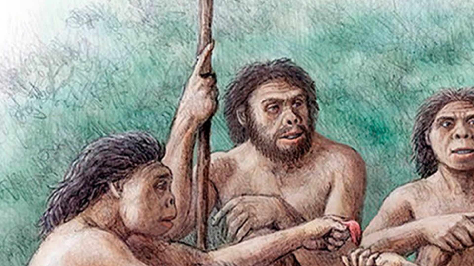 Altruistic behaviour of a group of Homo erectus sharing food with an individual who lived several years without teeth (as evidenced by edentulous skull D3444 and associated mandible D3900). This severe masticatory impairment would limit the diet of the in