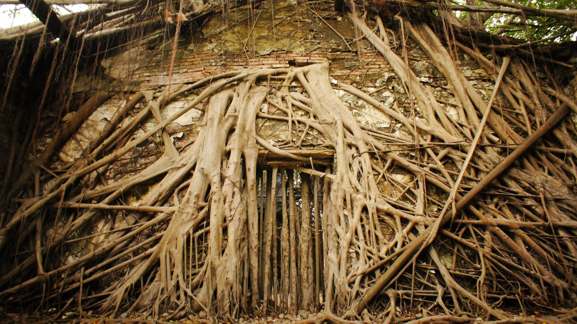 Anping Tree House, Tainan, Taiwan.