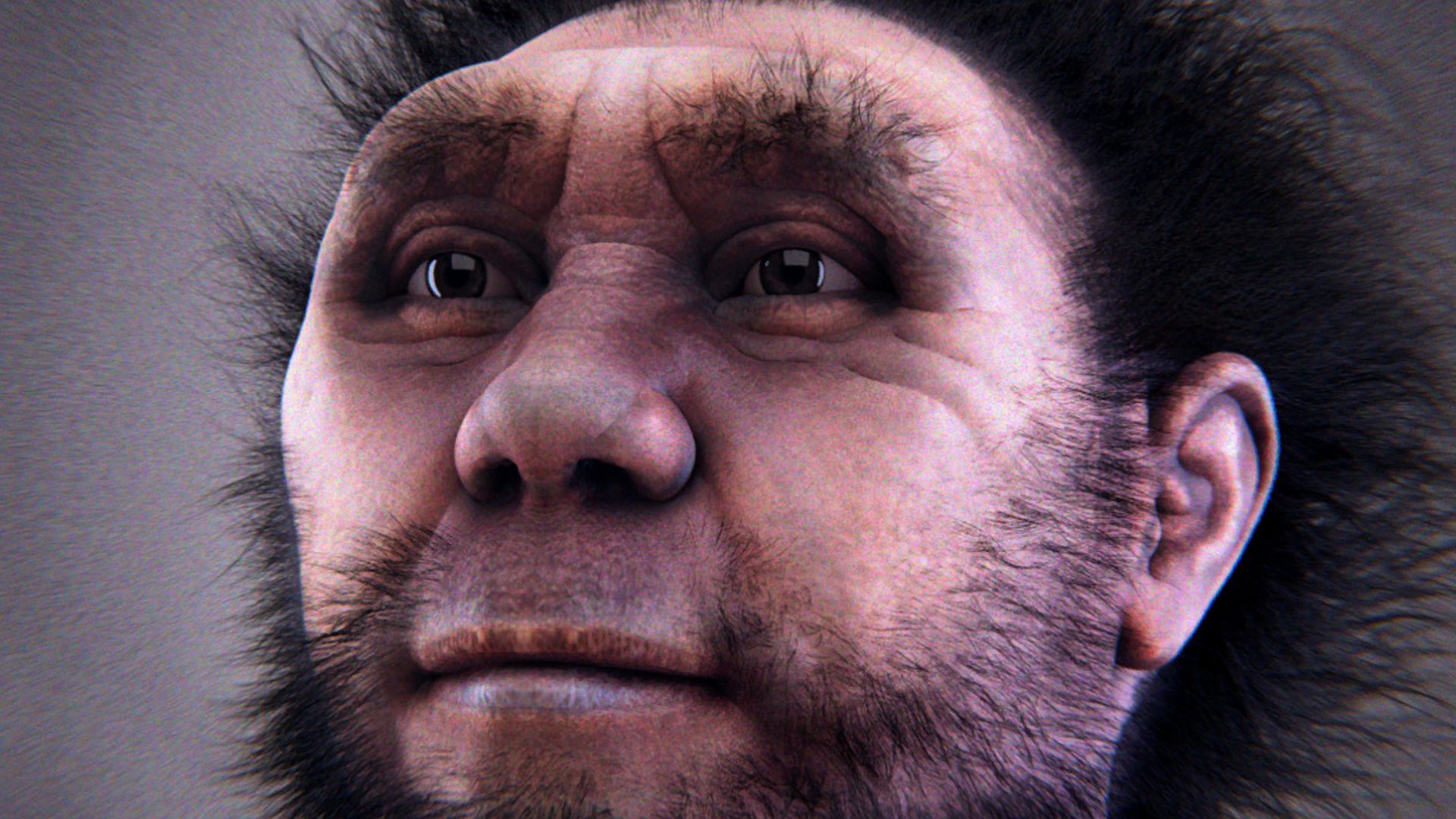 Reconstrução facial de um Homo erectus pekinensis.
Cicero Moraes et alii (Luca Bezzi, Nicola Carrara, Telmo Pievani).