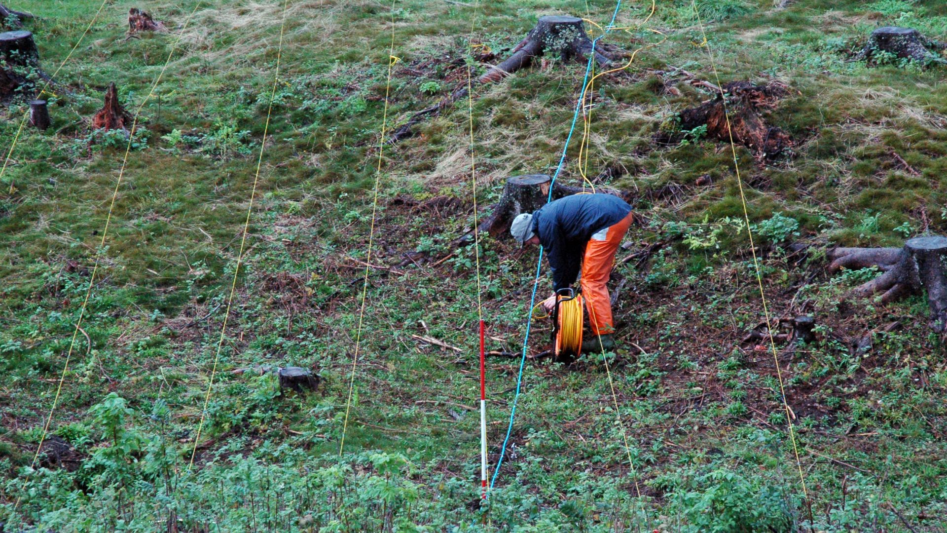 Martin Callanan strekker kabel, som brukes til å måle elektrisk motstand i undergrunnen.
Ved bruk, krediter:
Foto: Tove Eivindsen/NTNU Vitenskapsmuseet
If used, please credit:

Photo: Tove Eivindsen/NTNU Museum