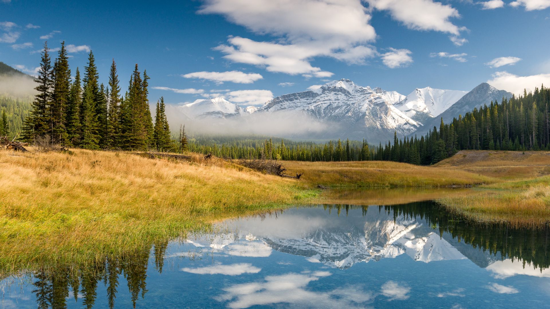 Canadian Rockies in the morning. Banff National Park, Alberta, Canada.