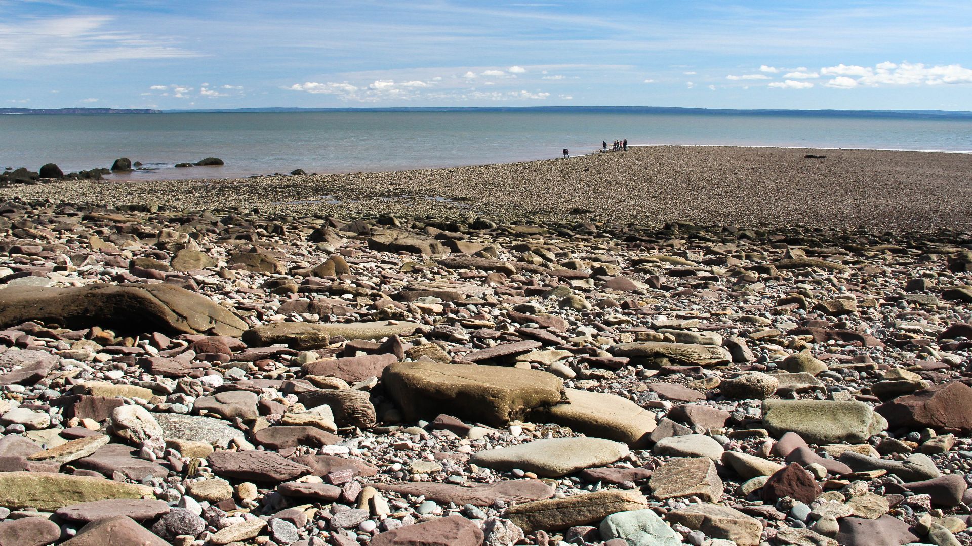 Baie de Fundy, Nouveau Brunswick