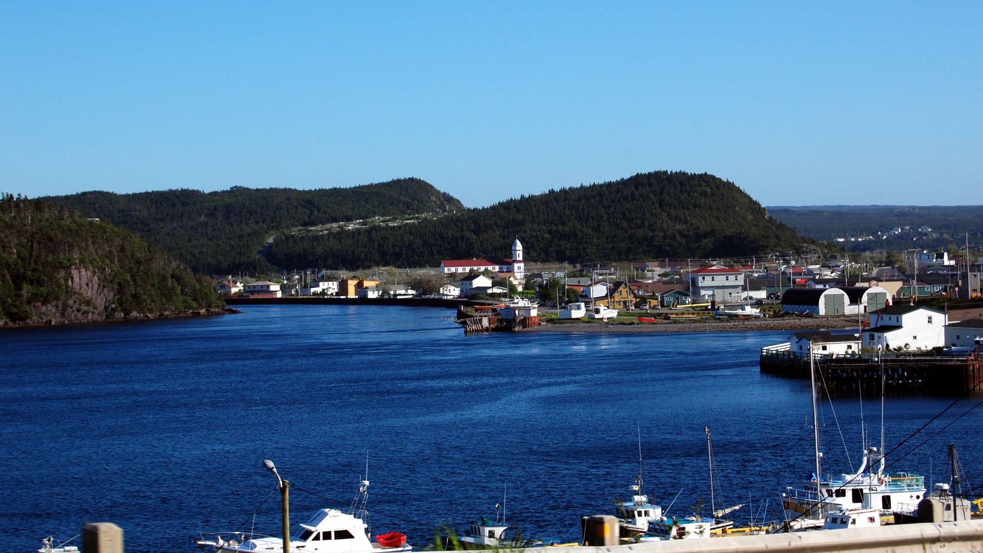 Newfoundland 132