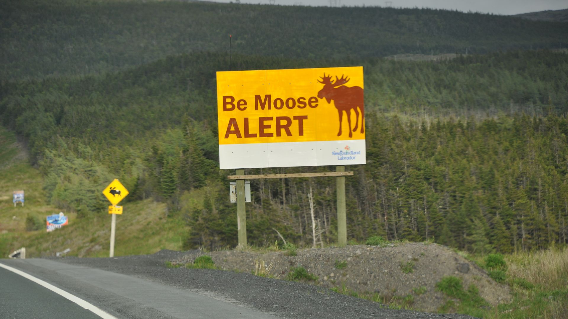 Moose Sign in Newfoundland and Labrador, Canada.