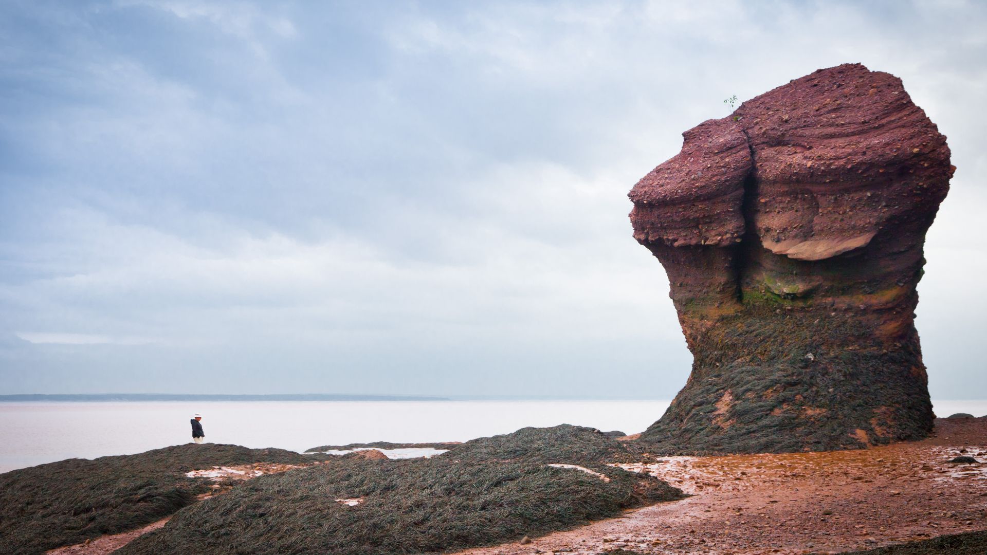 Hopewell Rocks in New Brunswick's Bay of Fundy during low tide

New Brunswick, Canada