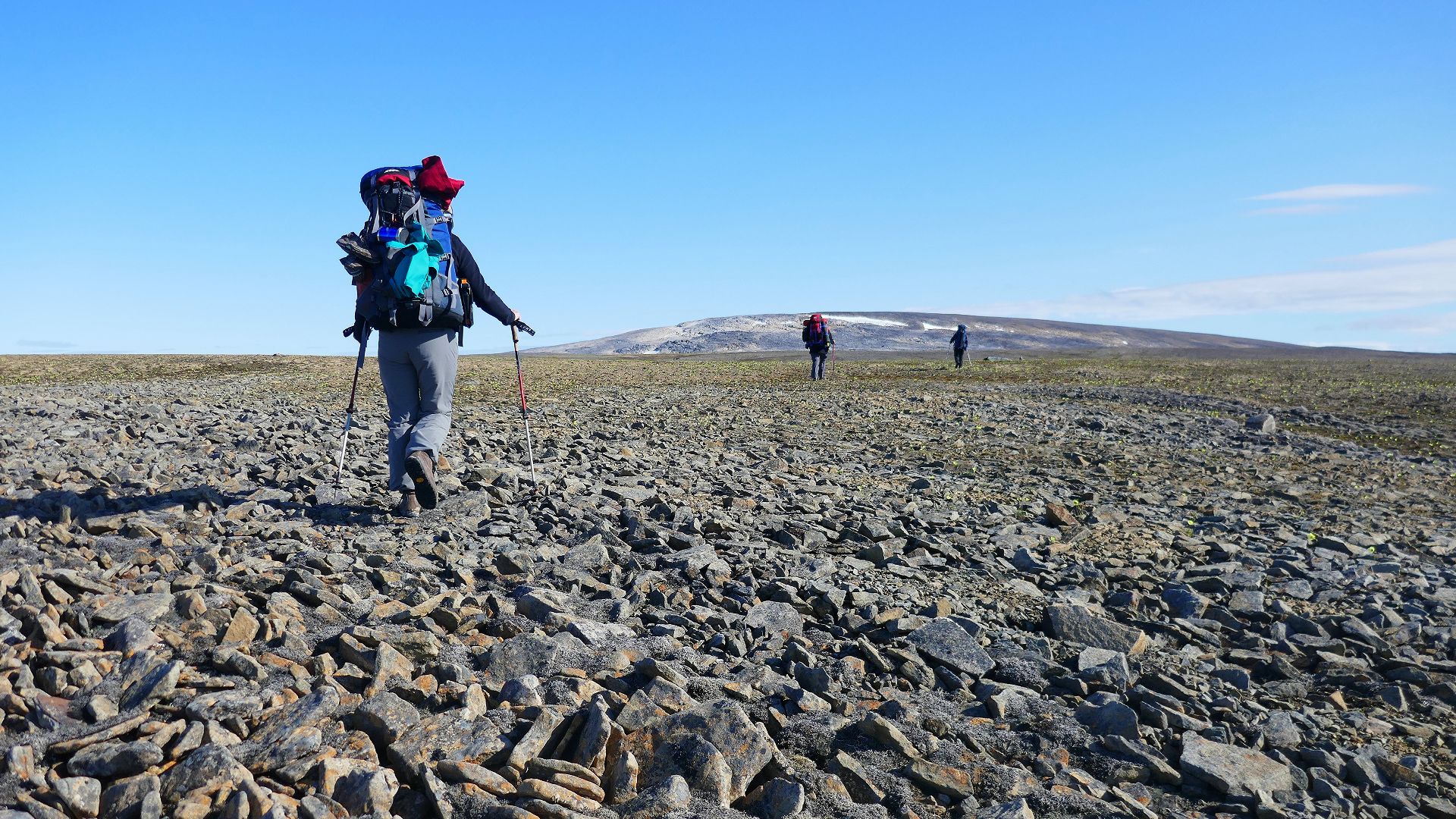 Qausuittuq National Park, Bathurst Island, Nunavut, Canada - July 2016