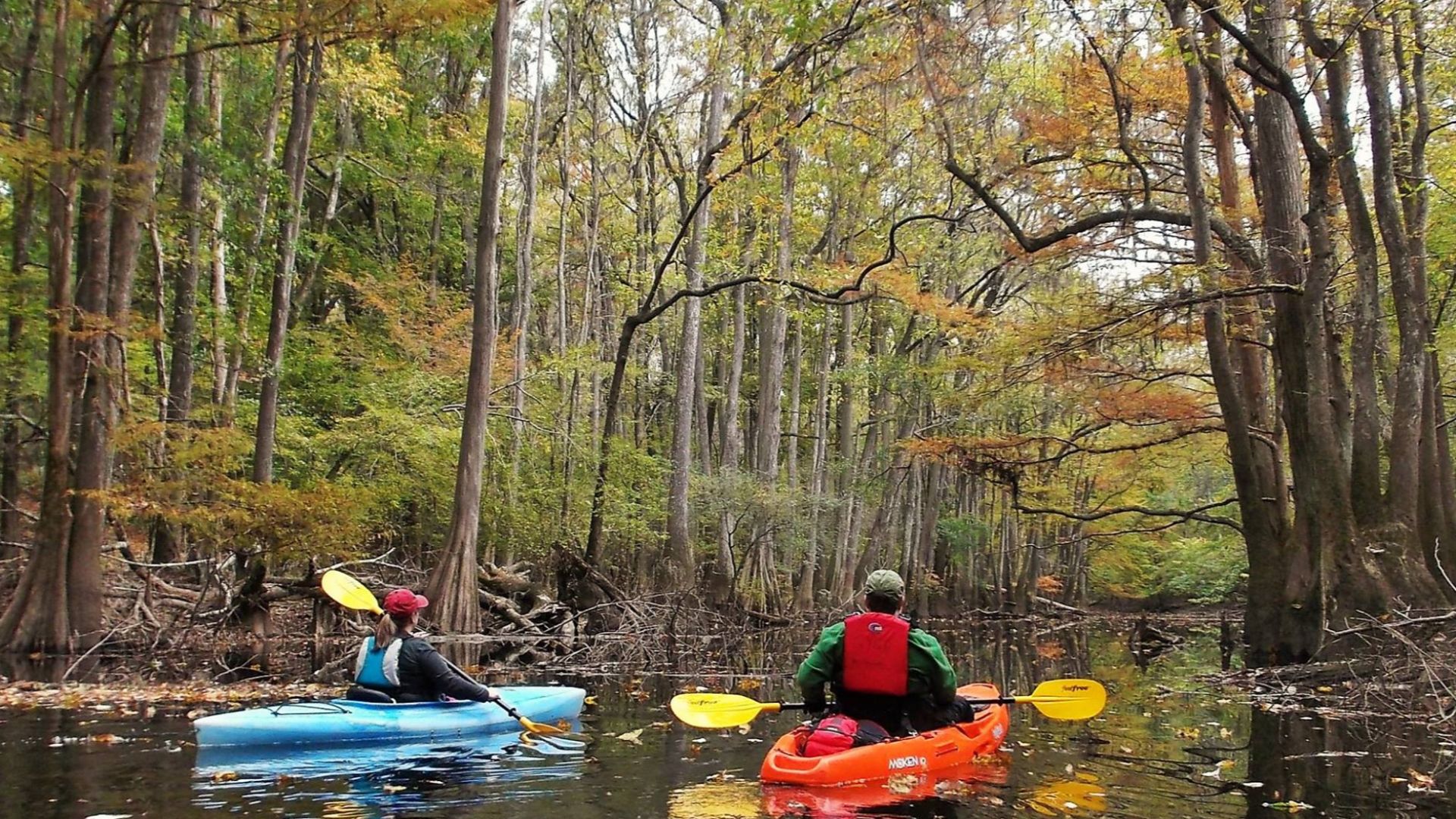 Kayakers paddling on Cedar Creek -- Autumn 2014