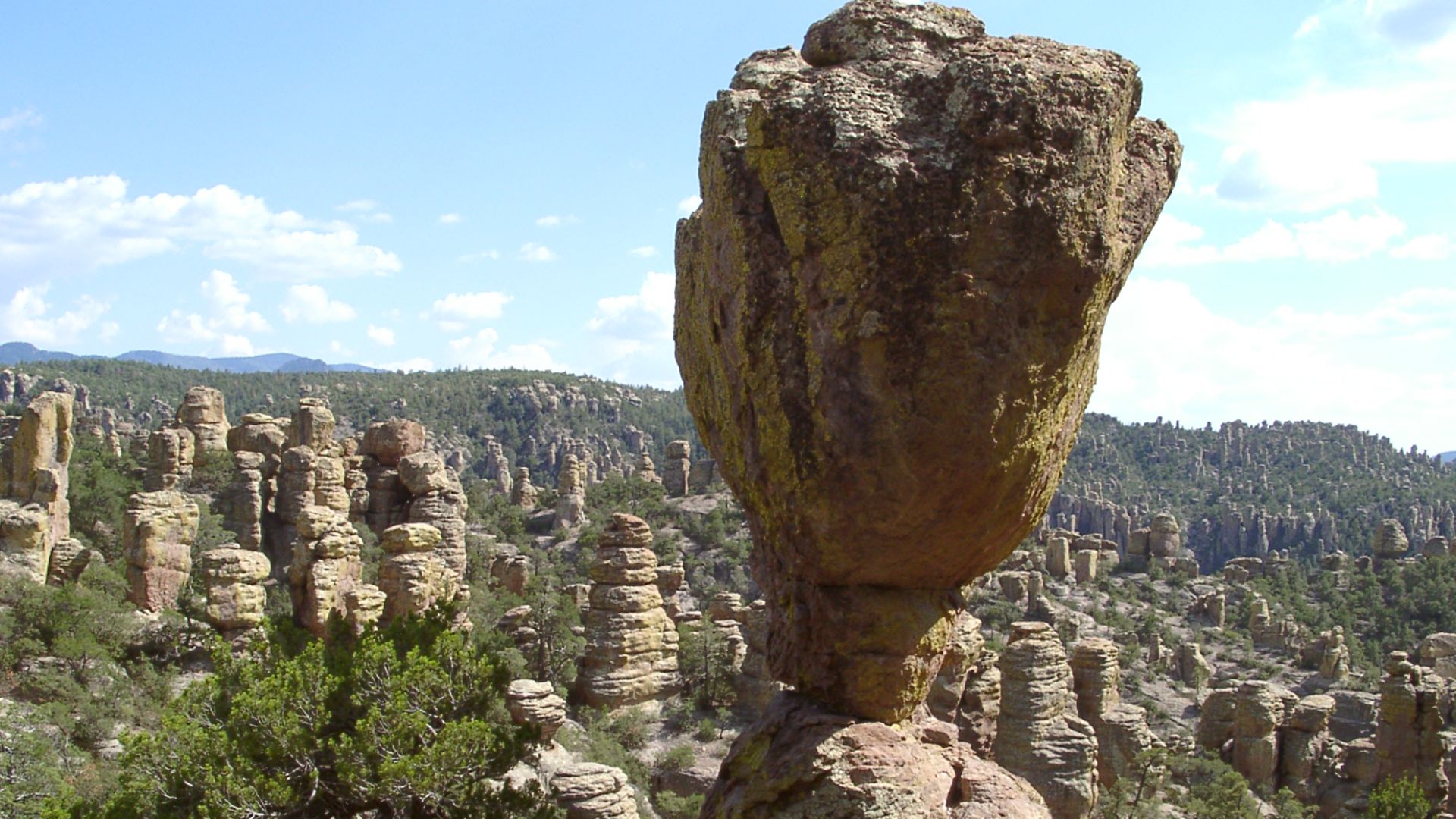 Balanced rock in Chiricahua National Monument. Tree at left foreground is Pinus discolor. Taken with a Casio QV-3000EX camera.