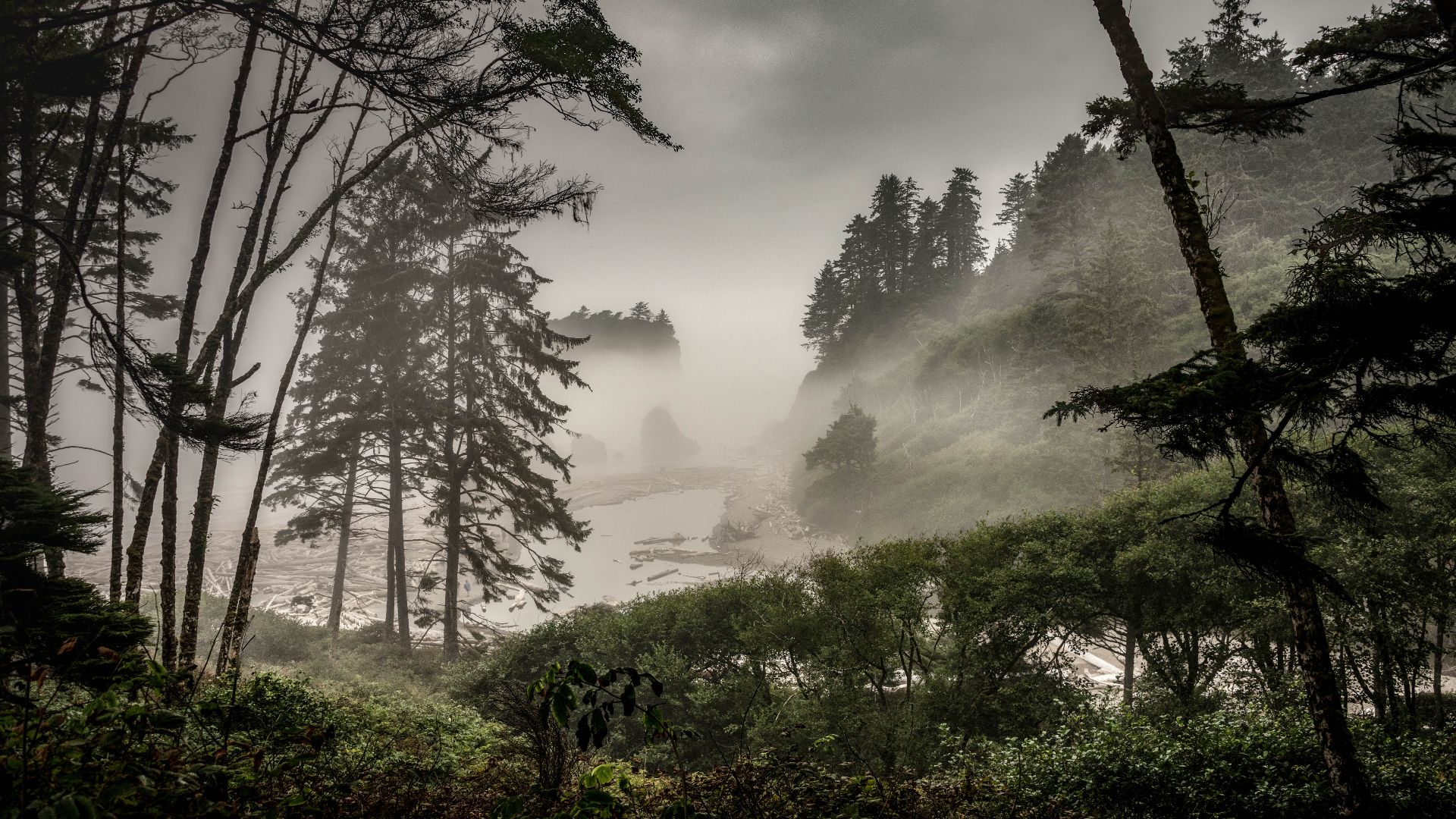 Olympic National Park, Washington, US.