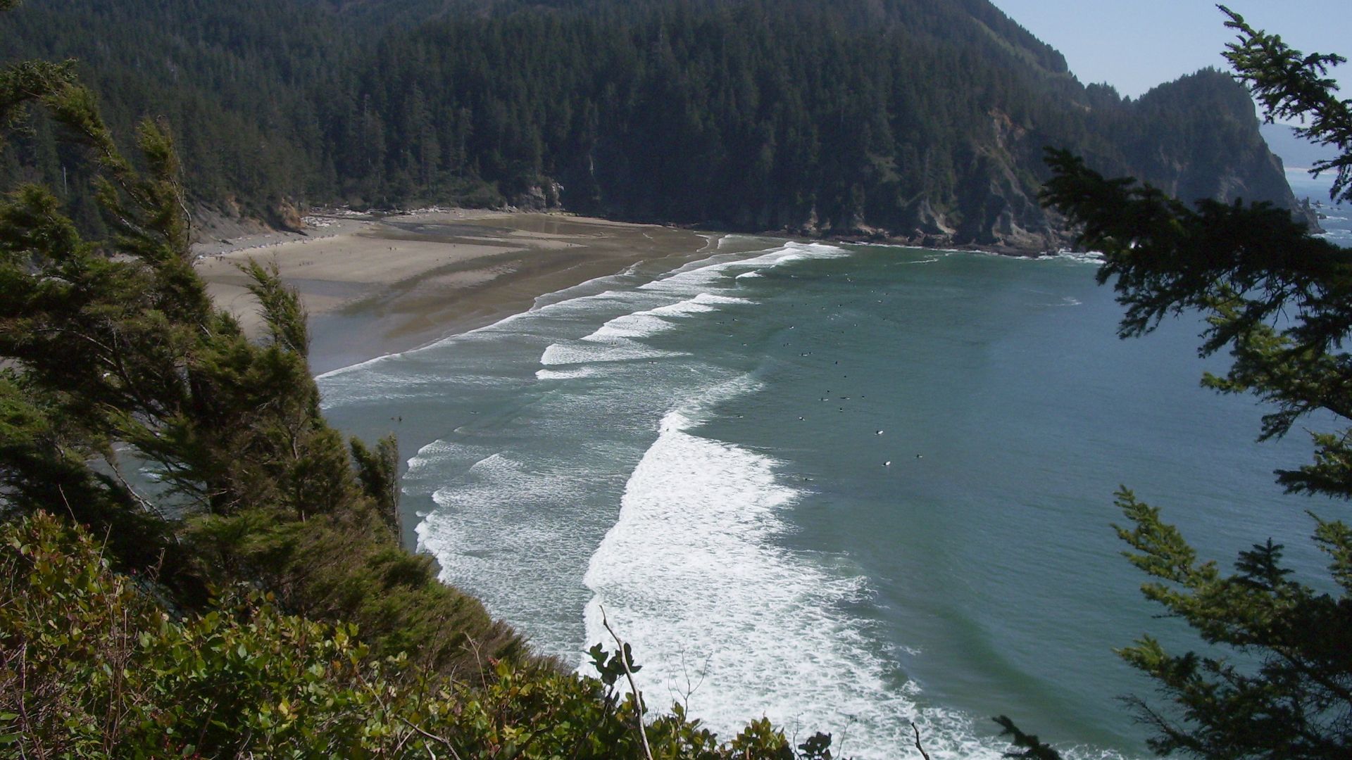 Smuggler Cove at Oswald West State Park on the Oregon Coast seen from the Oregon Coast Trail within on the south side of Cape Falcon. This first good weather day of the year attracted more than fifty wave surfers—many times the normal number—barely visib