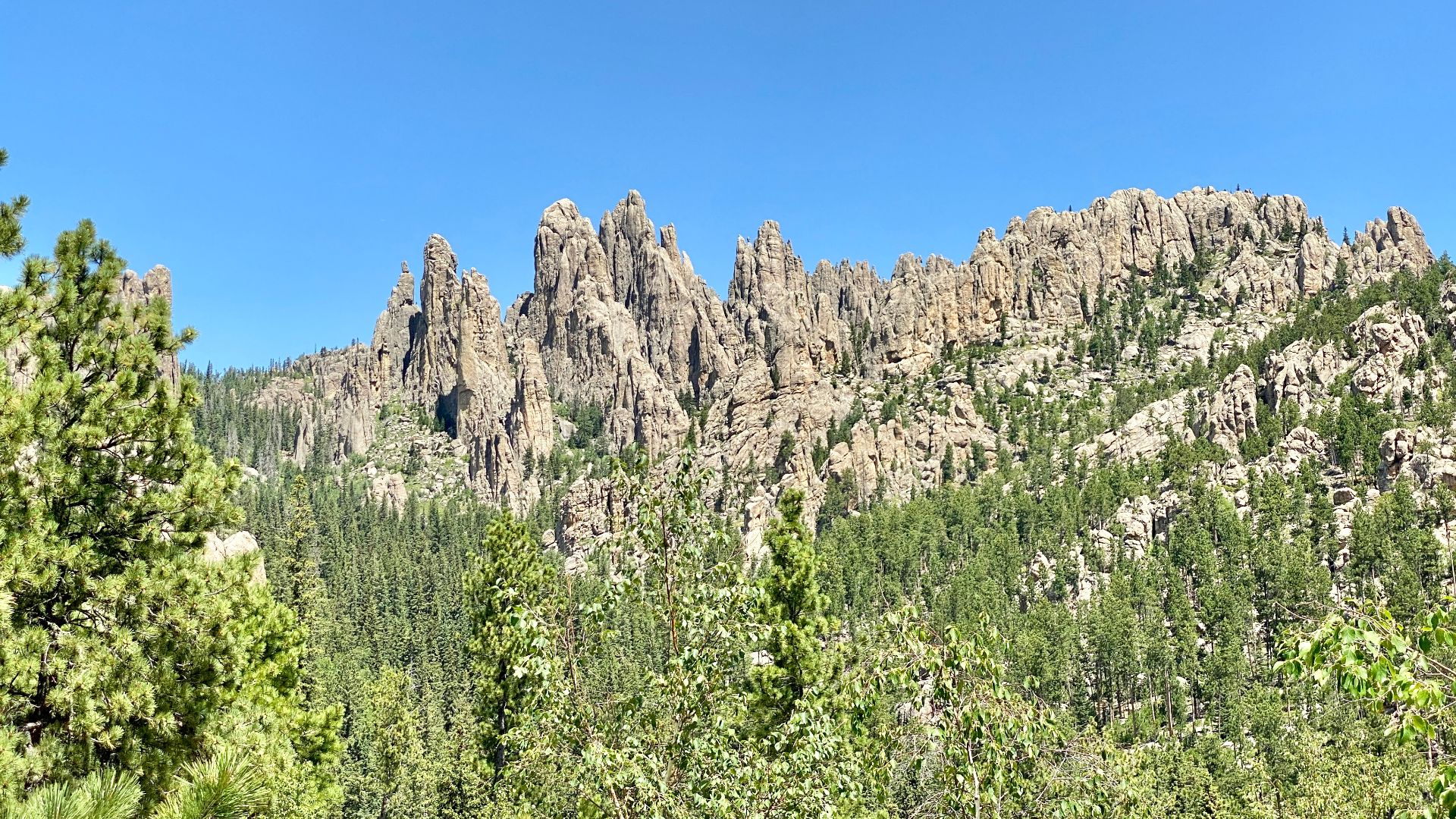 Custer State Park, South Dakota