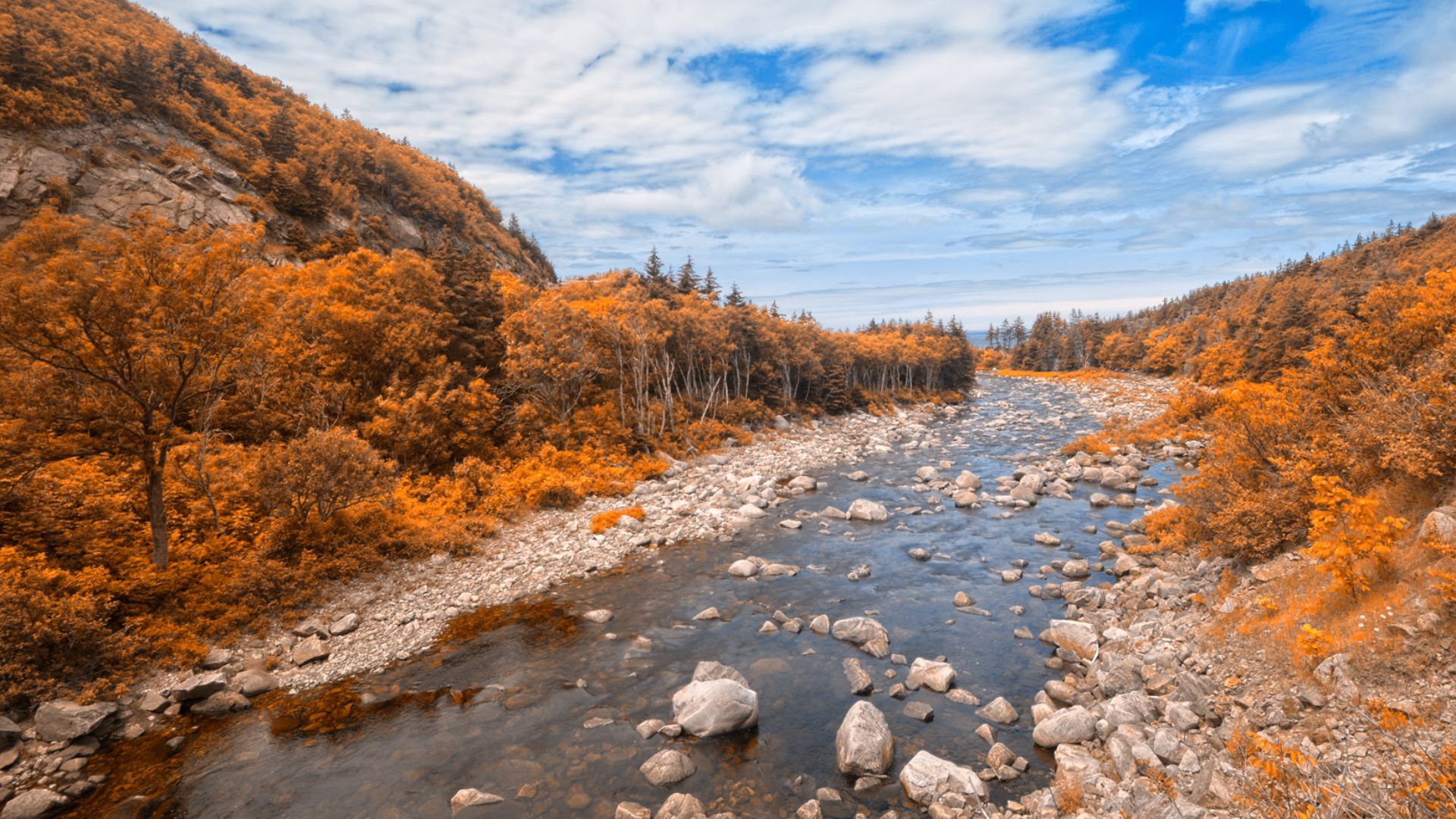 Wide-angle scenery from the Cabot Trail in Cape Breton, Nova Scotia, Canada. HDR composite from multiple exposures with targeted color processing in the trees & foliage to look amber orange instead of green.

This photo is released under a standard Creati