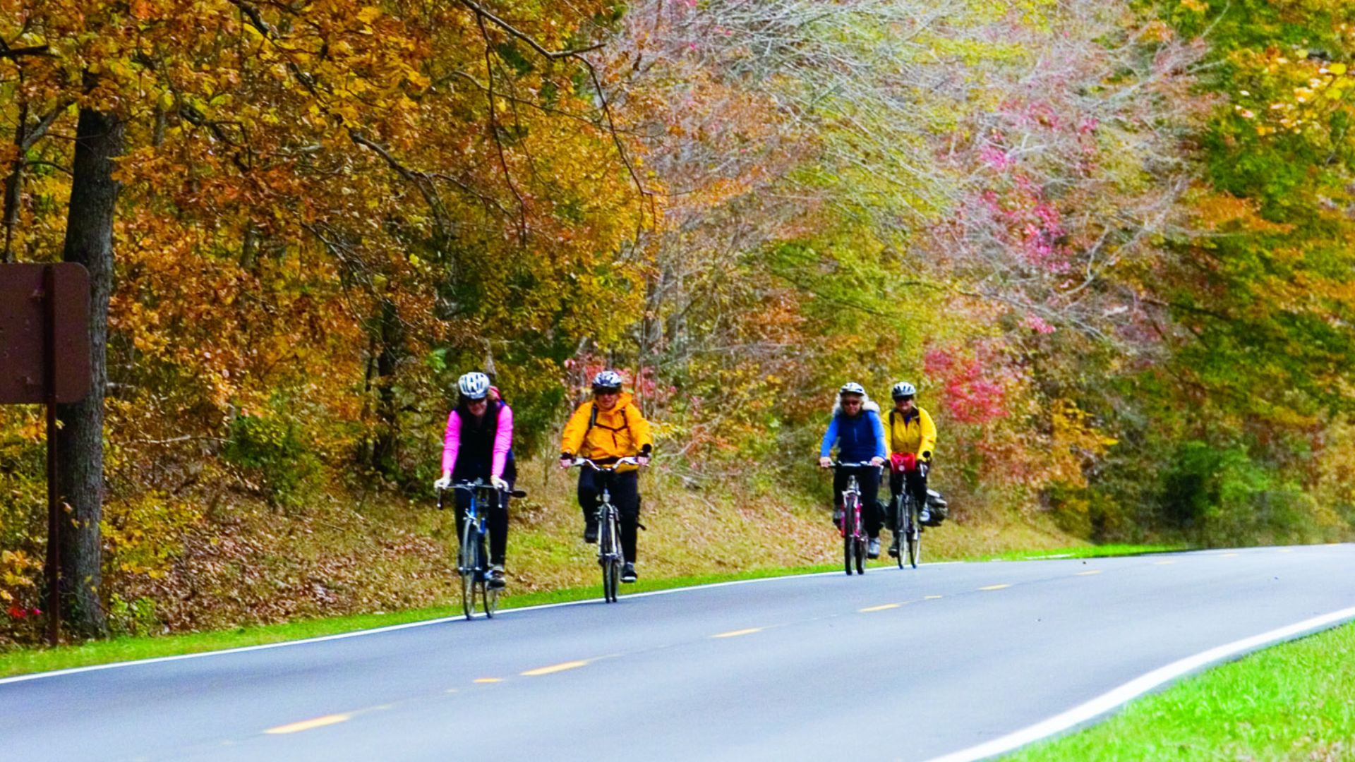 Scope and content:  The original finding aid described this photograph as:
Original Caption: Striking fall foliage frames a group of cyclists on the Natchez Trace Parkway.

Status: Public domain. Natchez Trace Compact