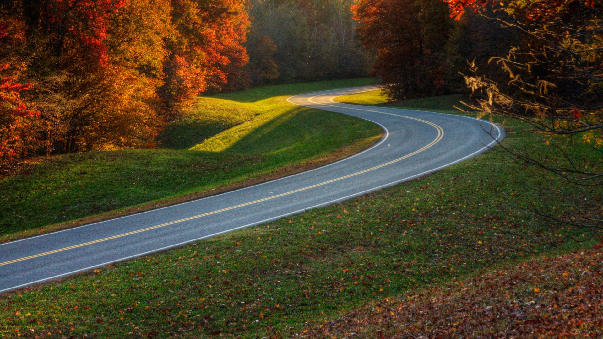 Mile 420 on the Natchez Trace looking south