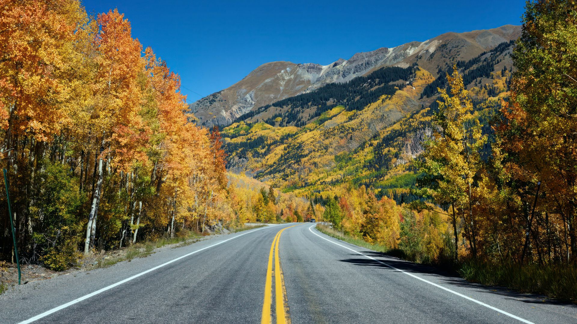 Vivid fall colors on the Million-Dollar Highway between Ouray and Silverton in San Juan County, Colorado