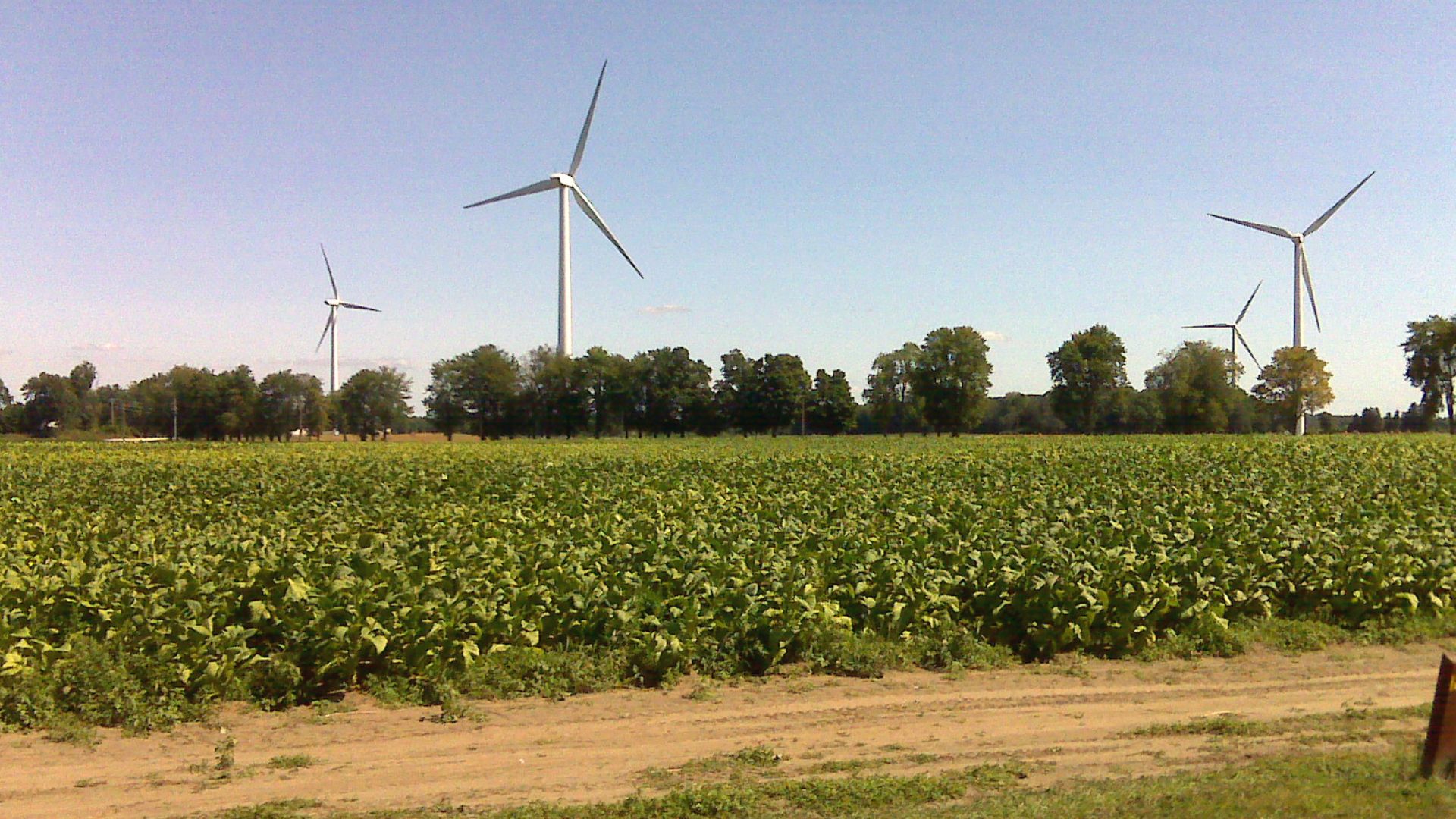 Photo by USFWS.